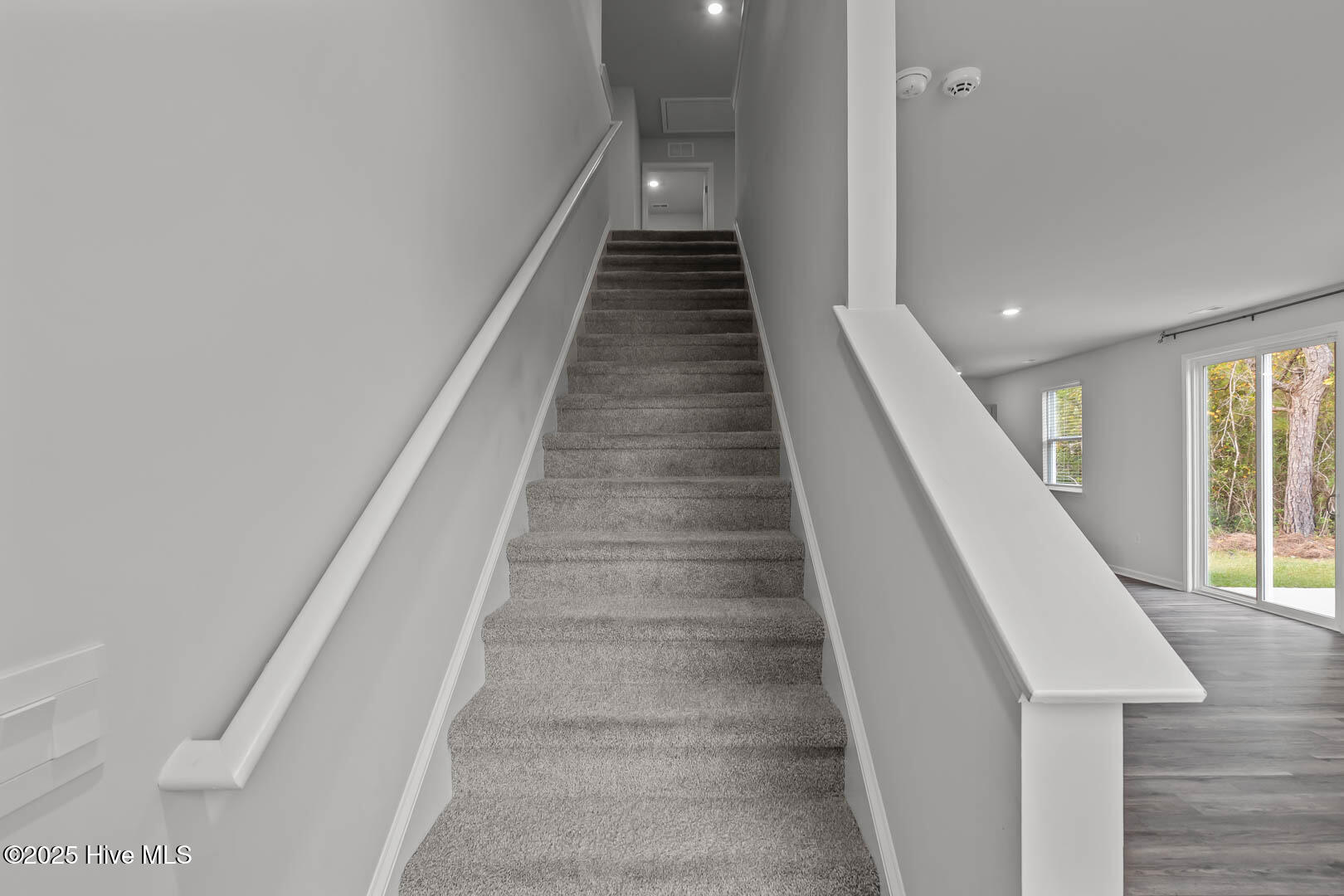 100538929 | Photo 25