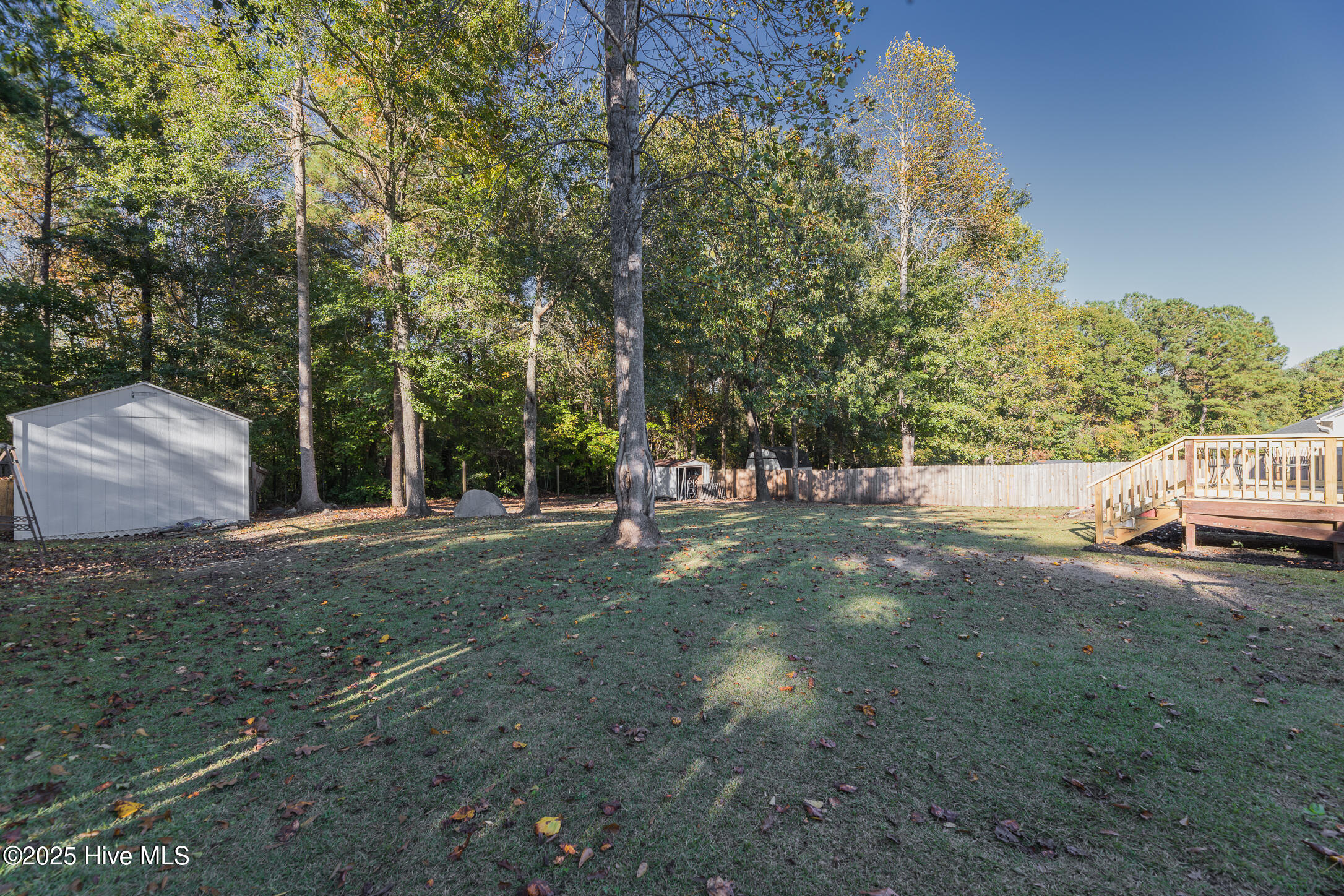 100538539 | Photo 33