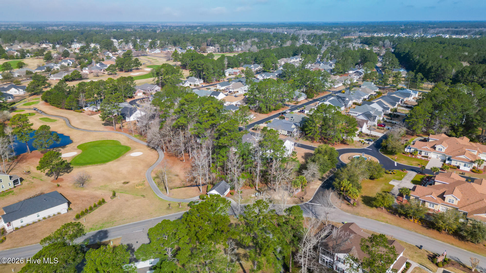 100558598 | Photo 12