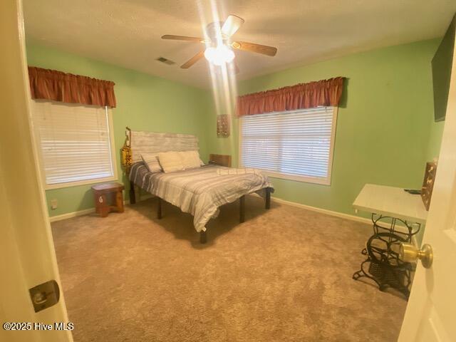 100537292 | Photo 37