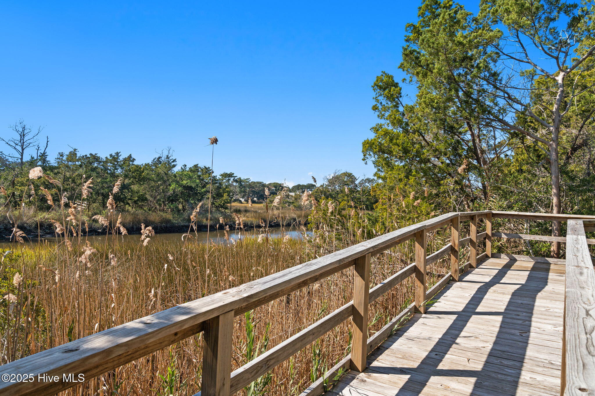 100541037 | Photo 57