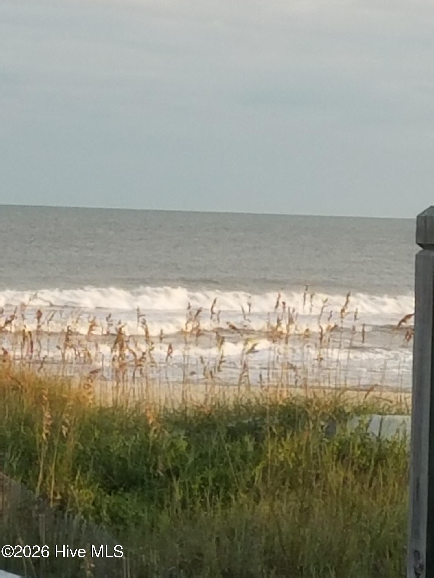 100555622 | Photo 52