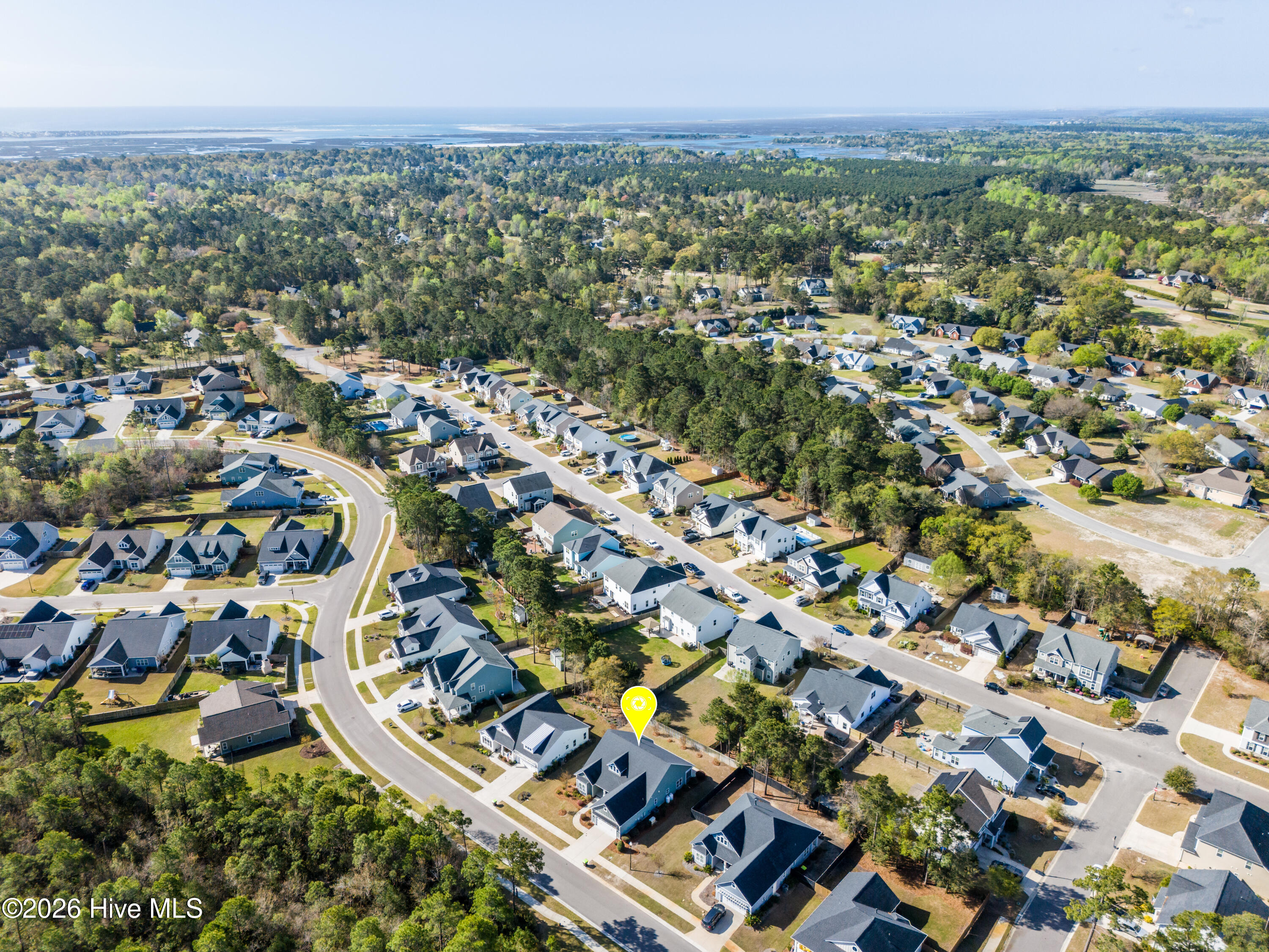 100564151 | Photo 41