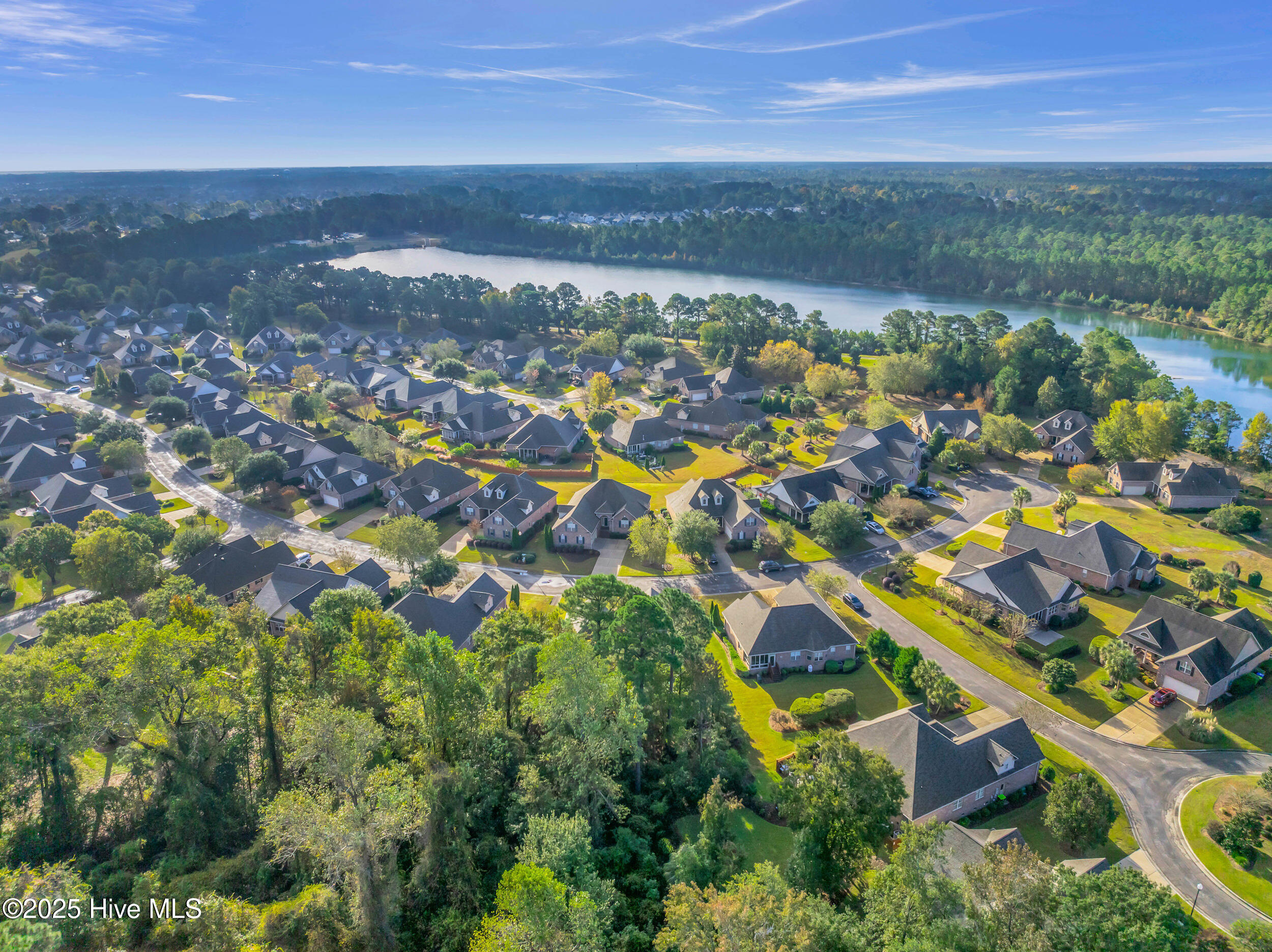 100539518 | Photo 54