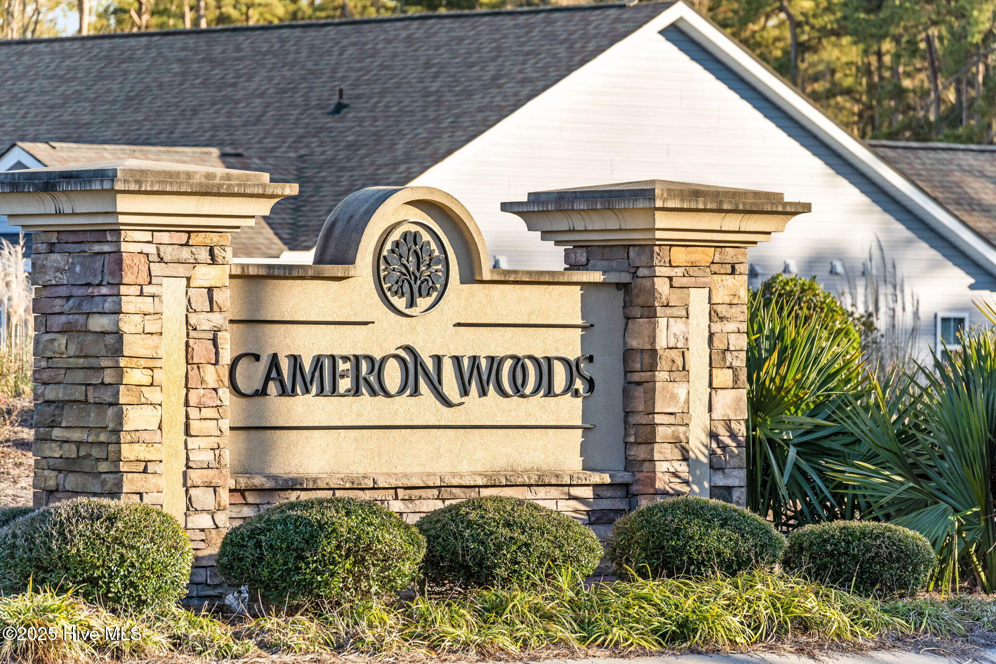 100495537 | Photo 40