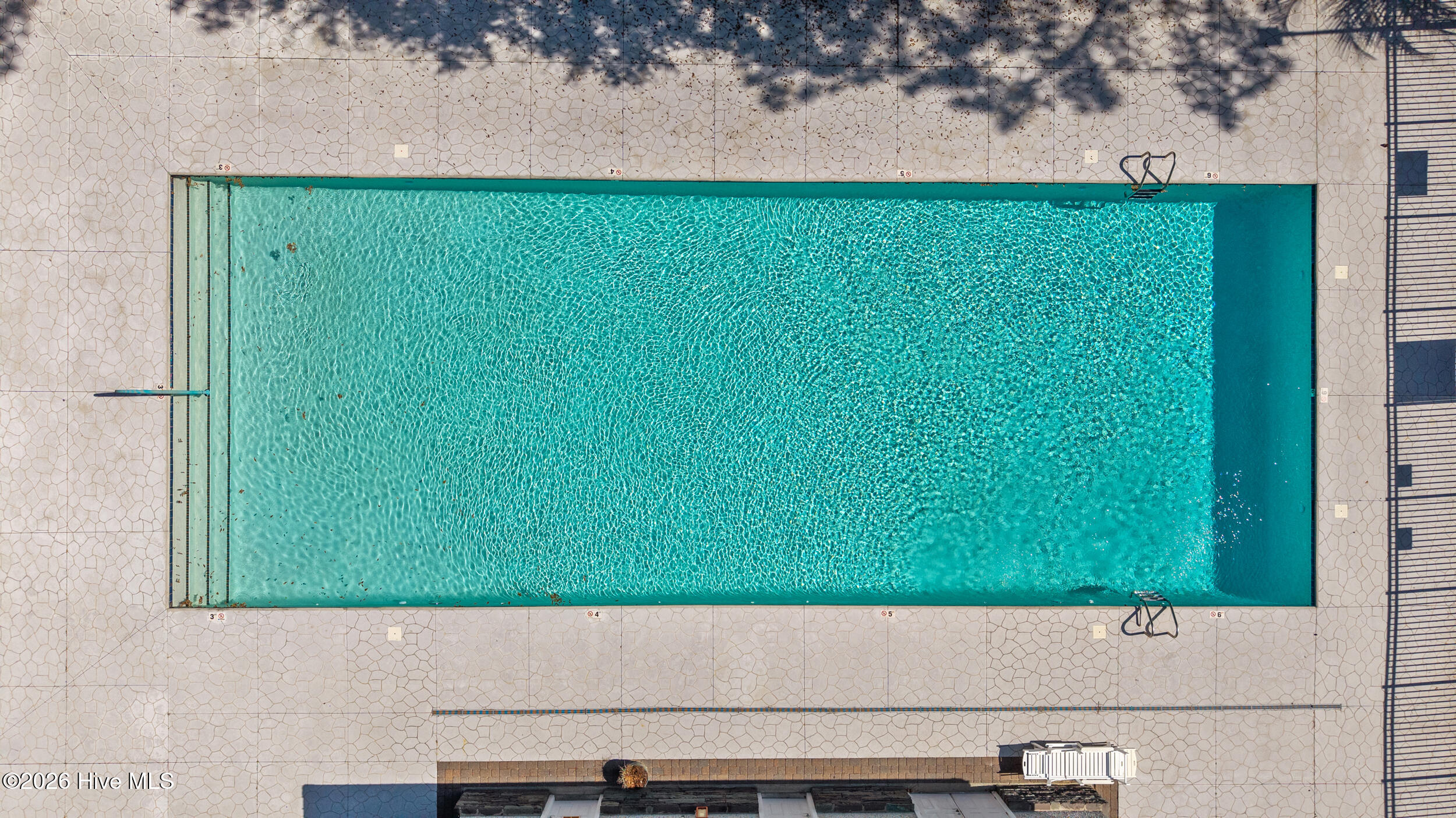 100558582 | Photo 66