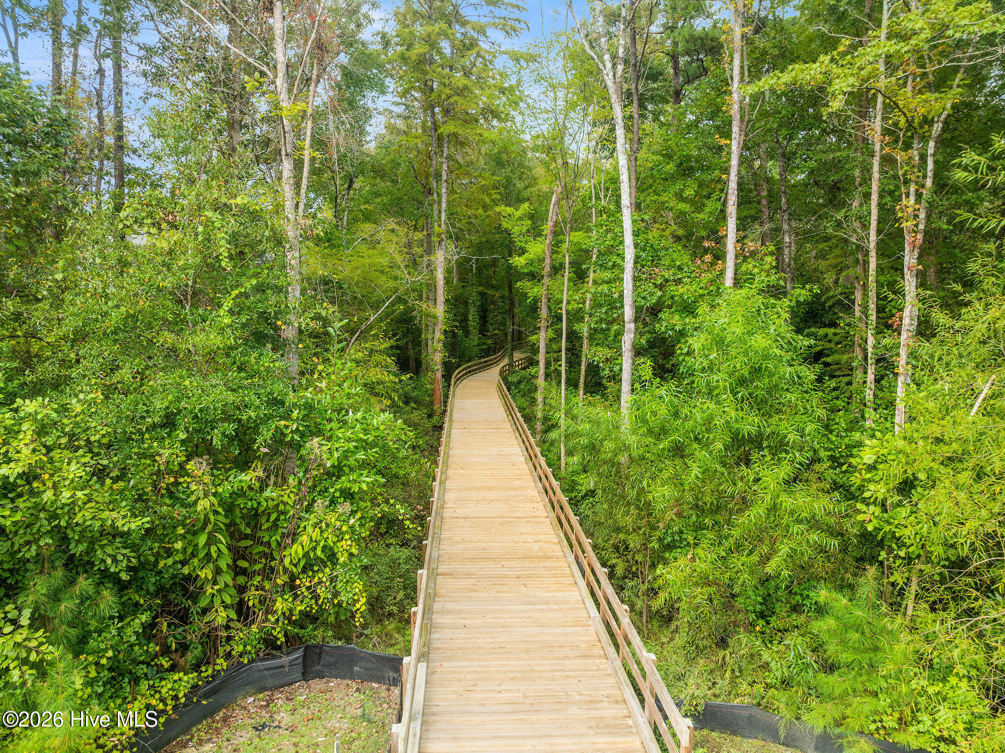 100554356 | Photo 81