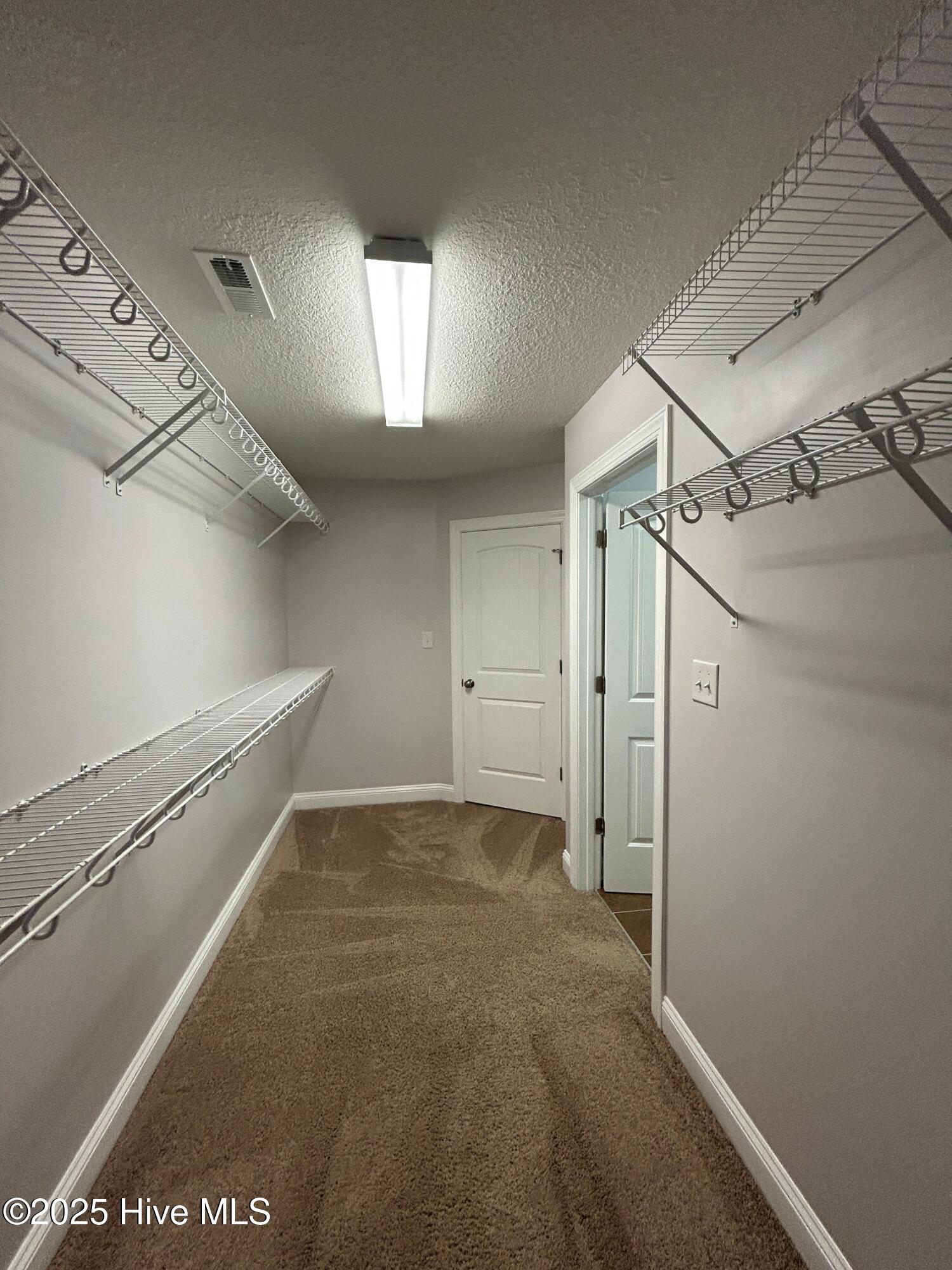 100528484 | Photo 26