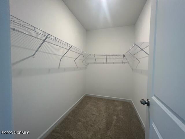 100558949 | Photo 17