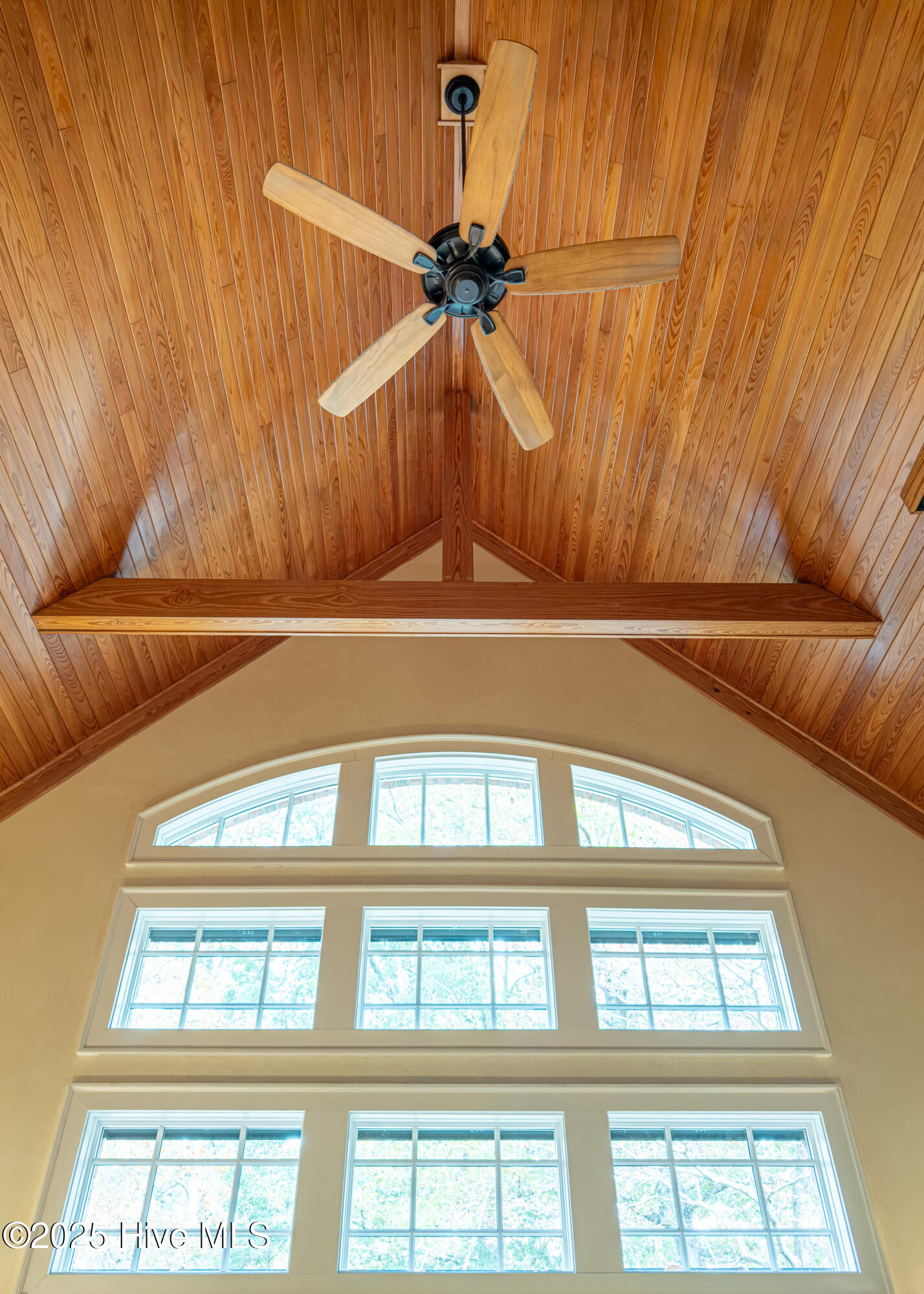 100547157 | Photo 22