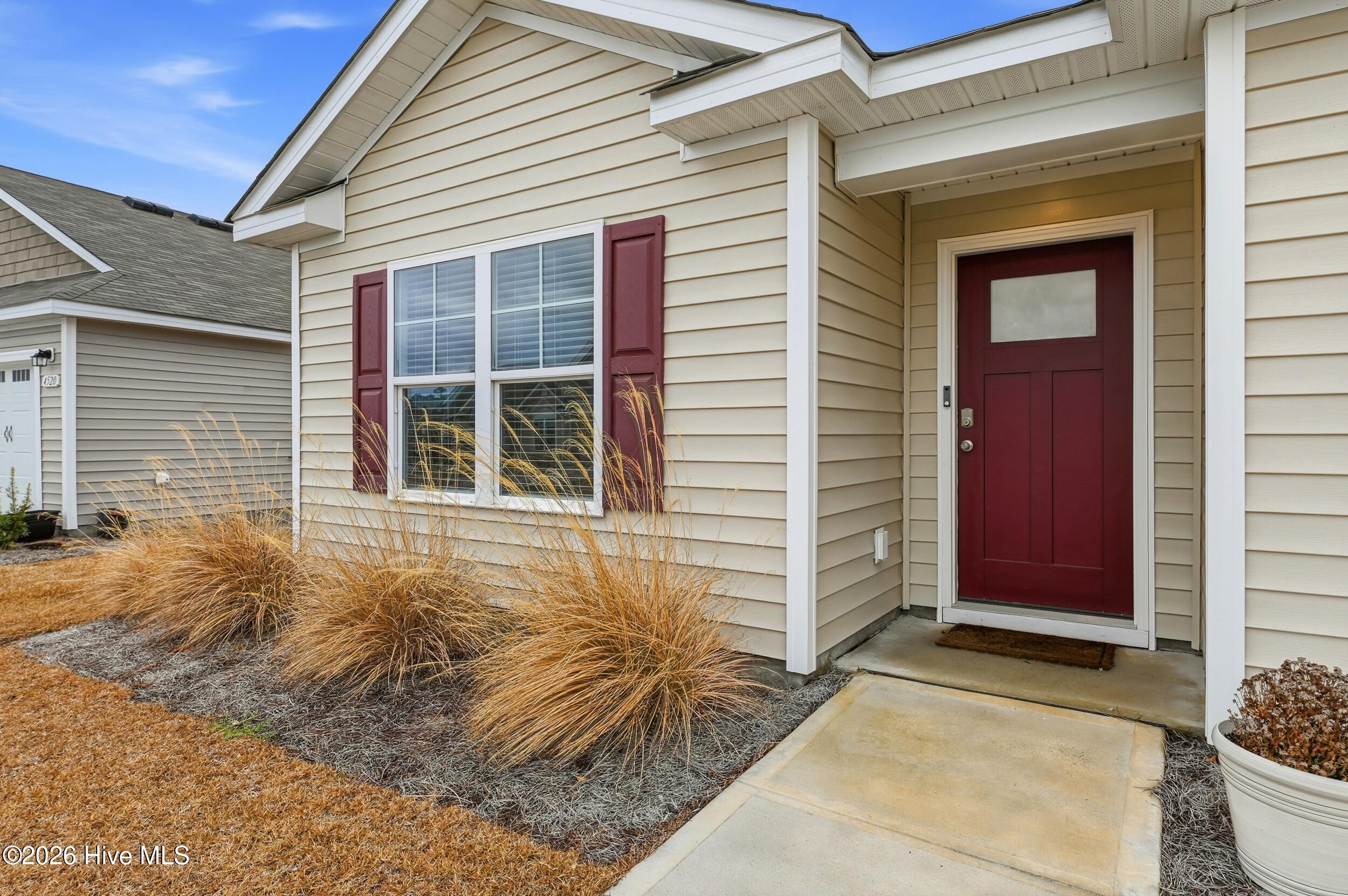 100555935 | Photo 30