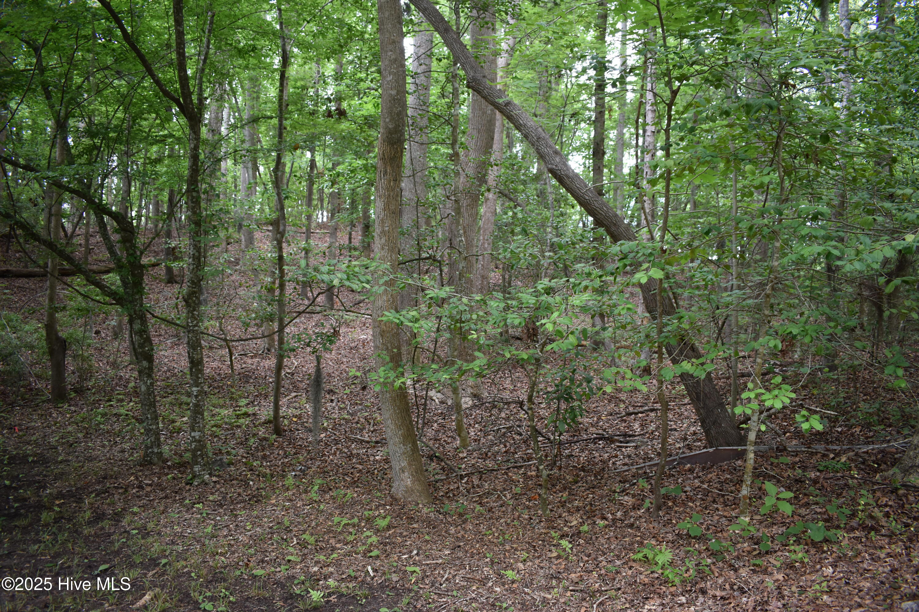 Homes for sale in Blounts Creek, NC | Lot 6 River Rd, Blounts Creek, NC 27814 | MLS# 100512257