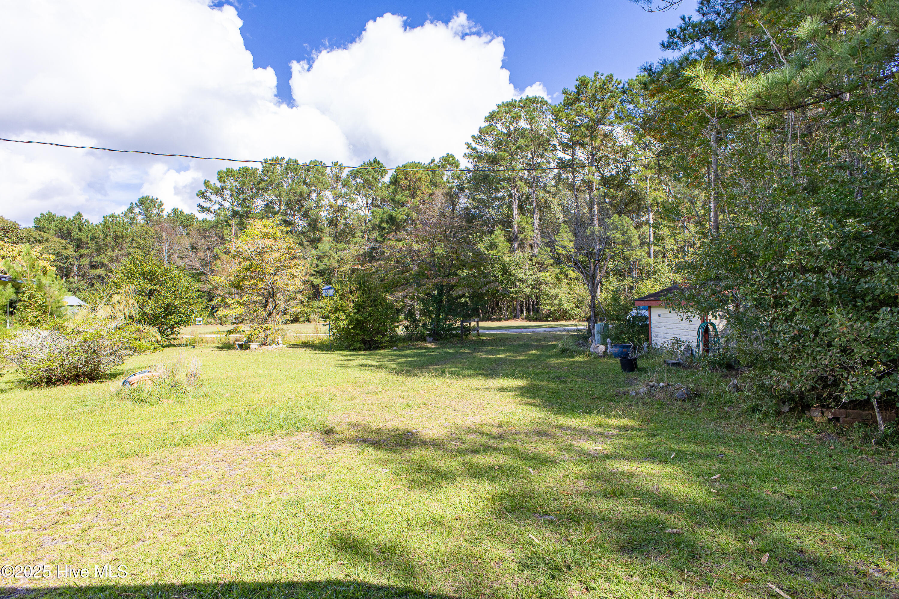 100534440 | Photo 15