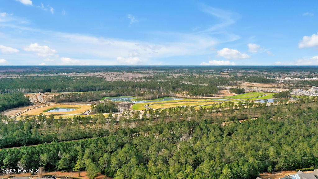 8663 Blue Haw Way Lot 137, Leland, NC 28451 – photo 24: IndigoPreserve-DRHorton-2