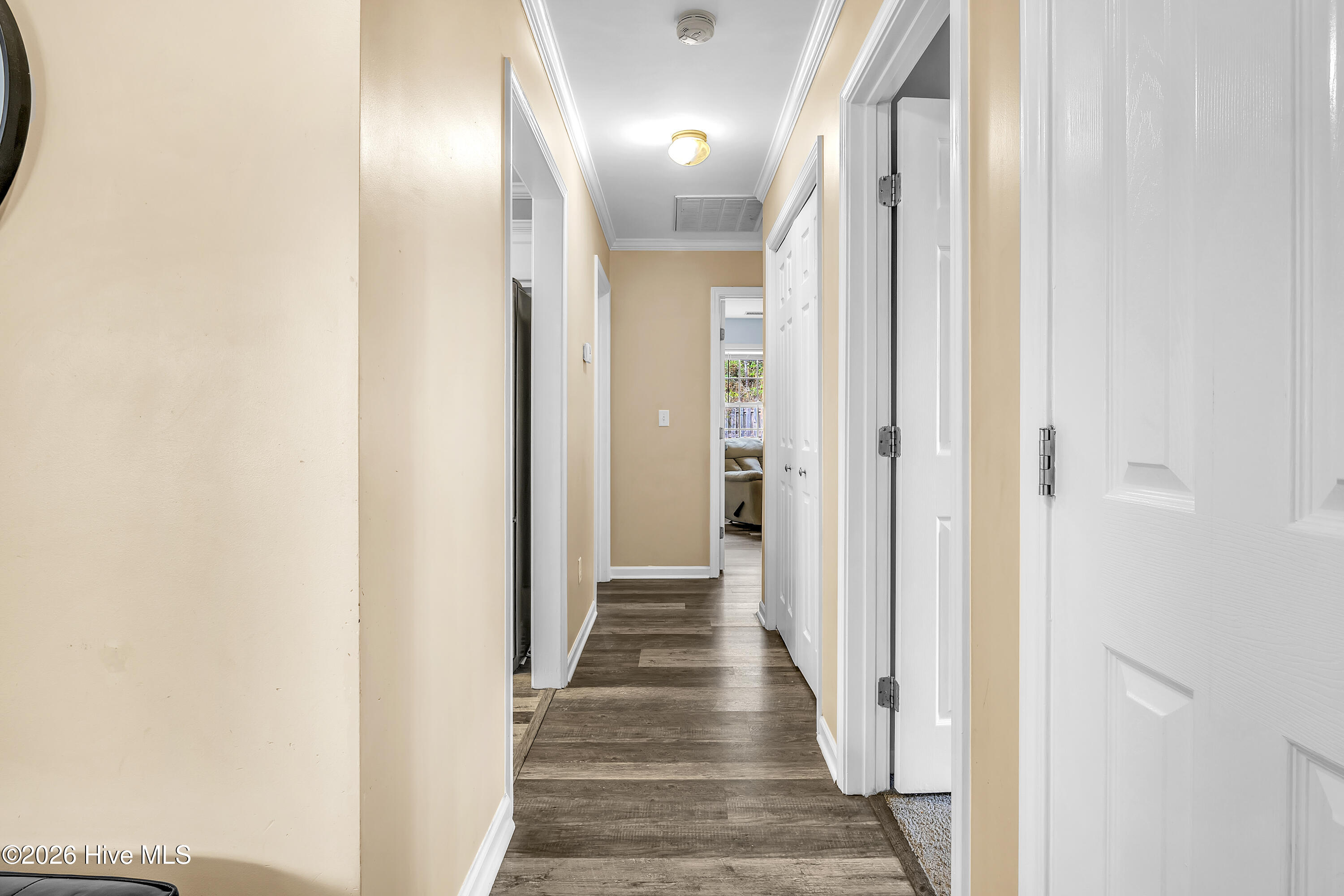 100556302 | Photo 23