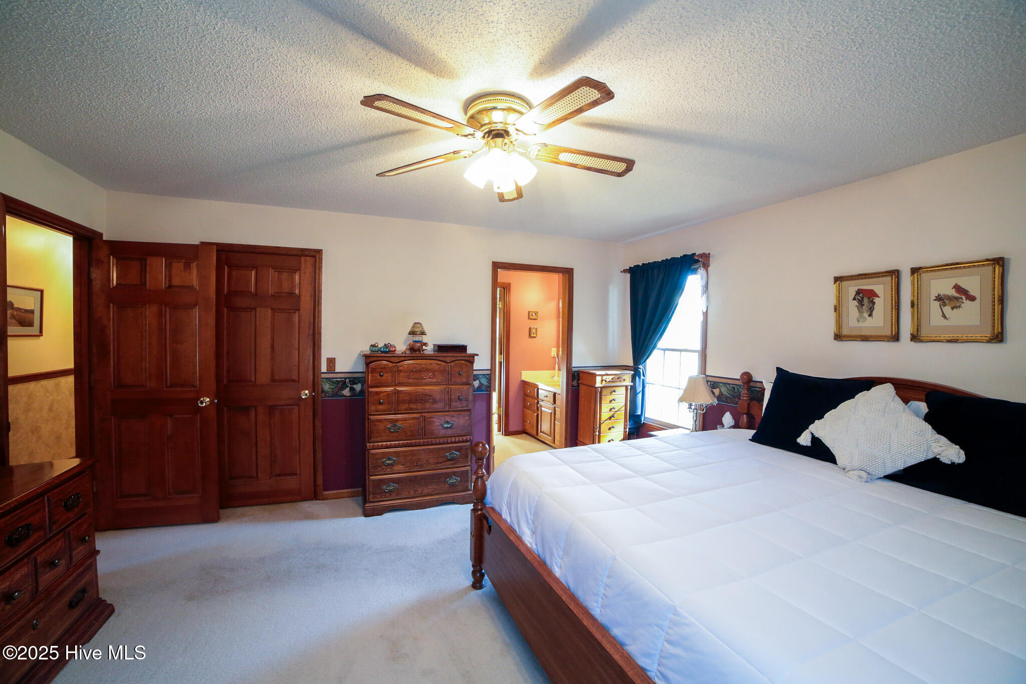 100545469 | Photo 26