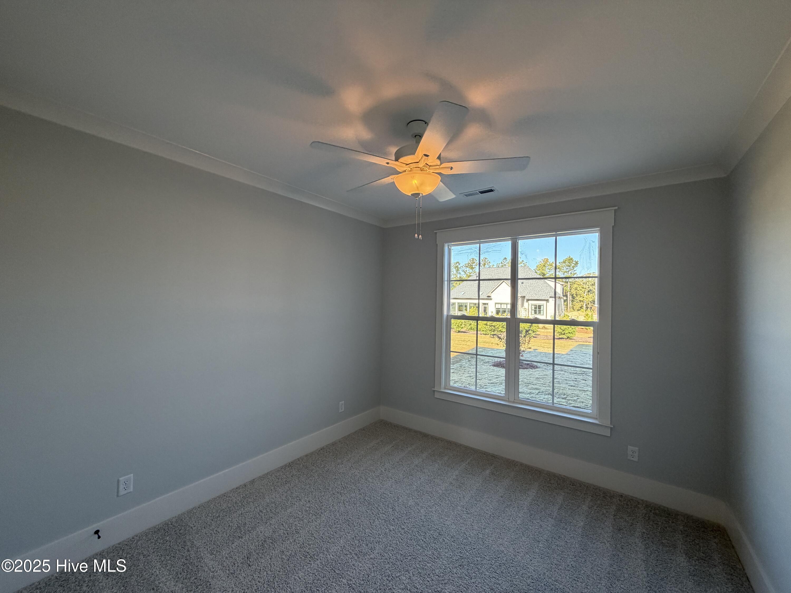 100518580 | Photo 13