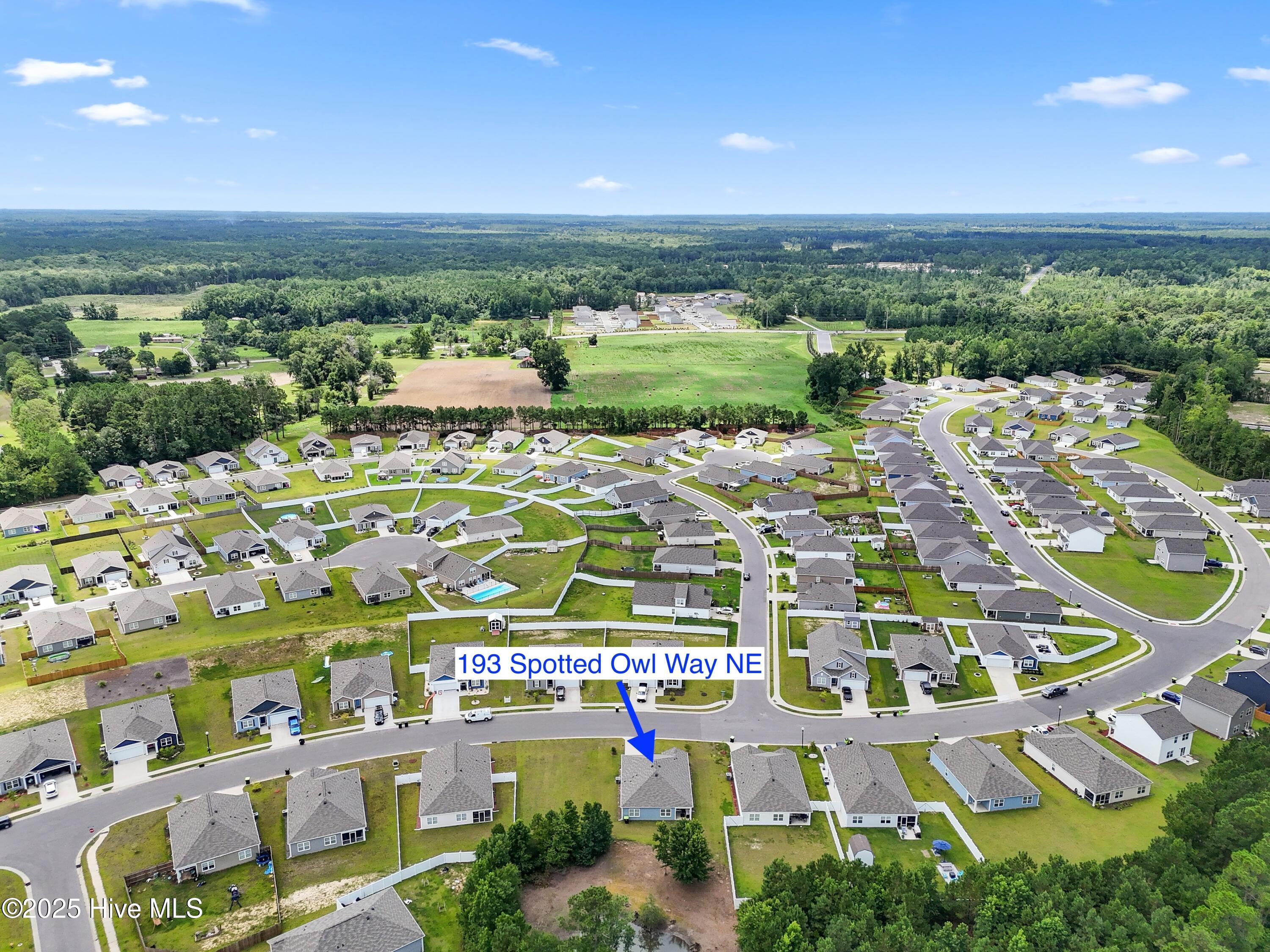 100519595 | Photo 26