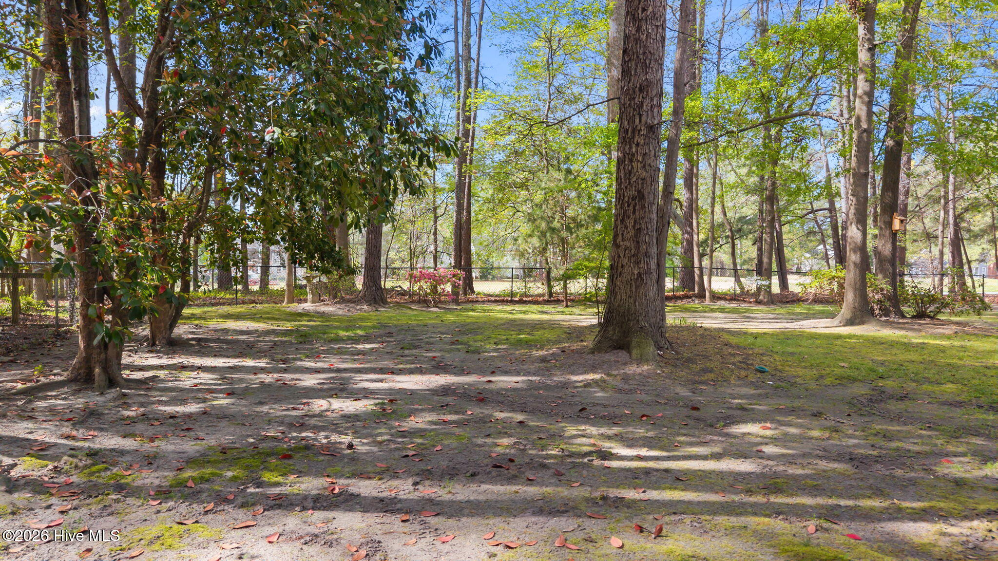 1241 Green Tee Lane, Rocky Mount, NC, 27804