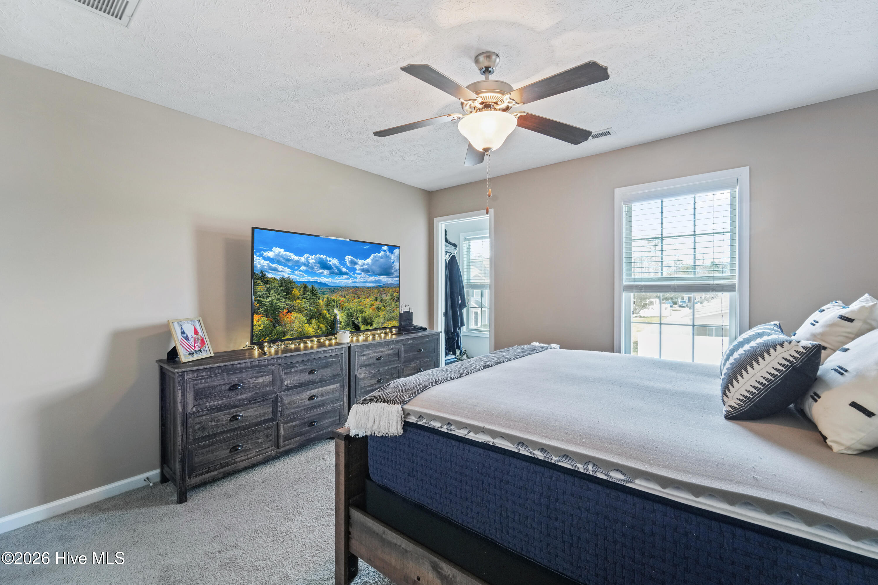 100558944 | Photo 30