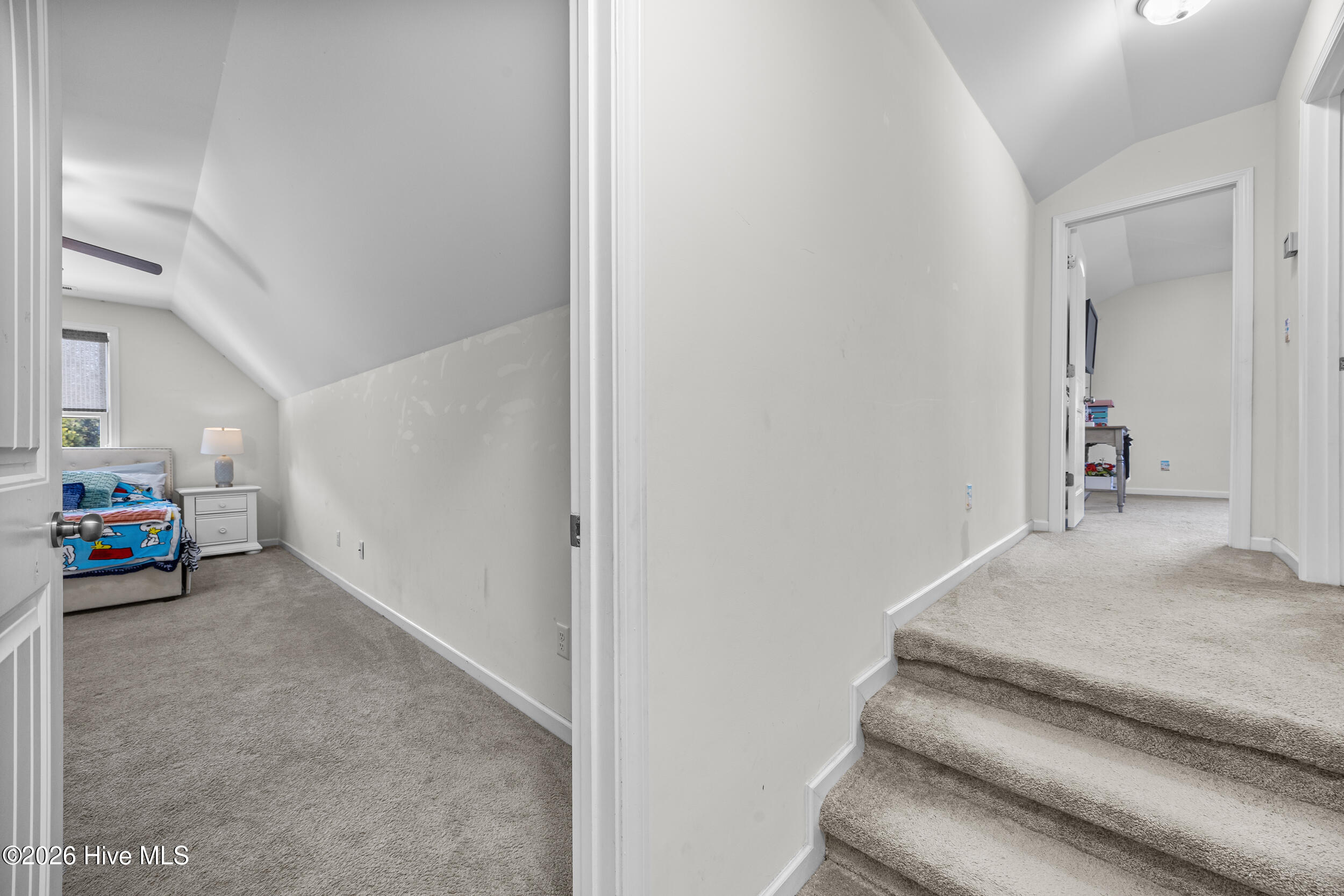 100552443 | Photo 19