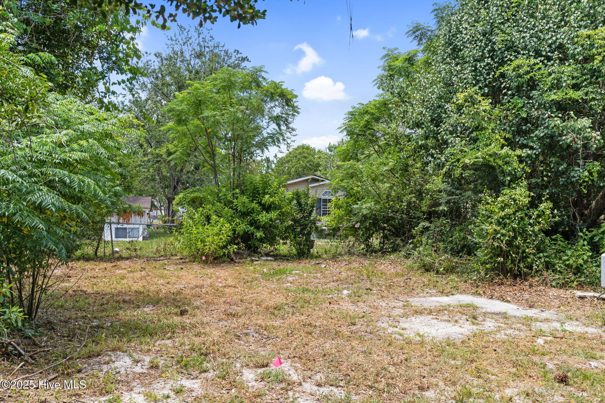 100514432 | Photo 29