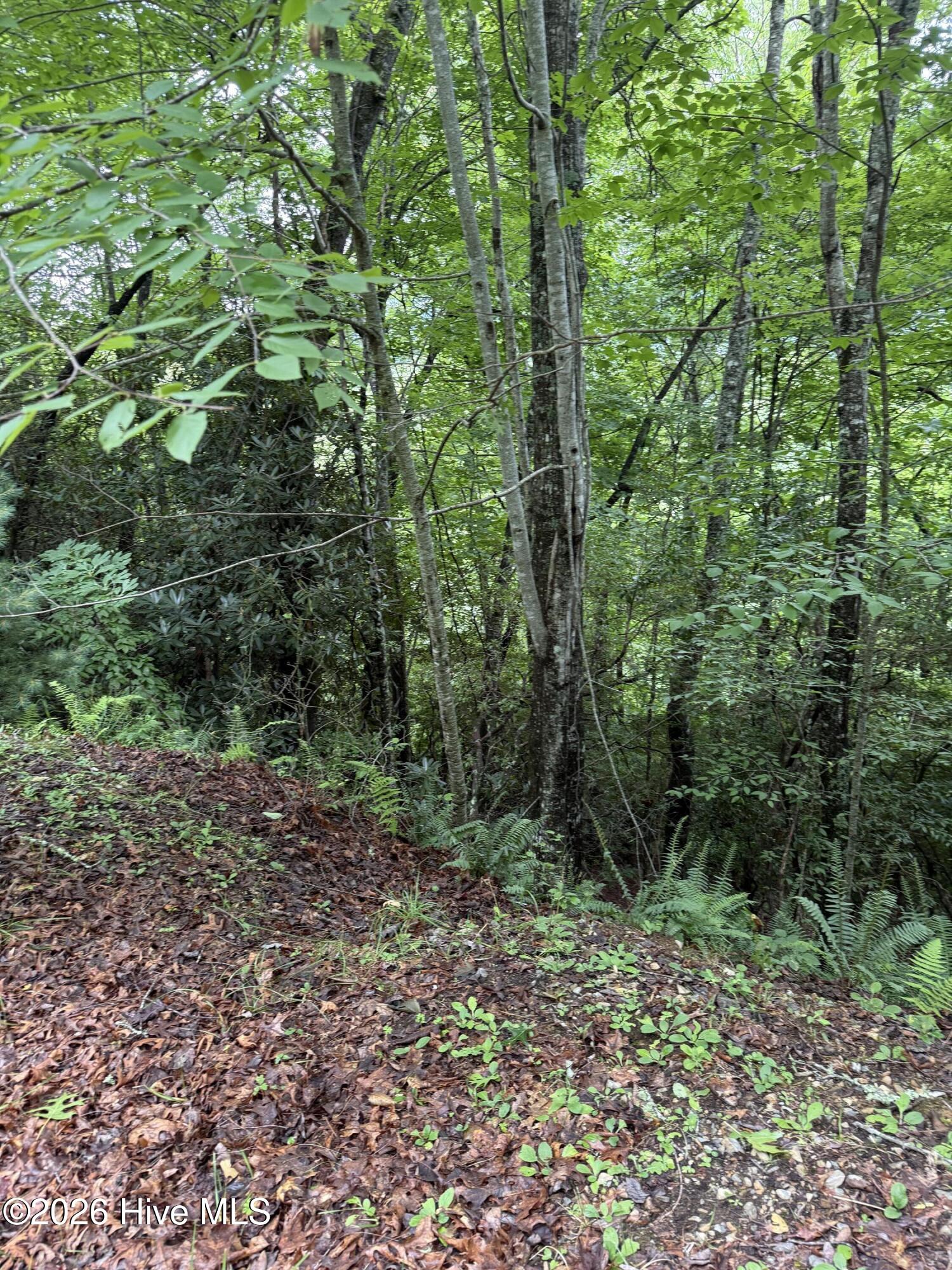 Lot 14 14 Mountain Vista Lane