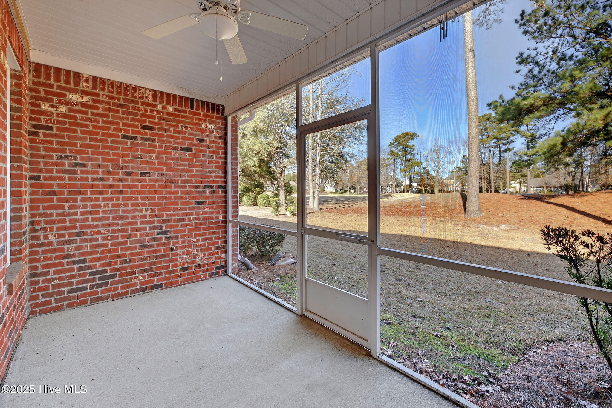 100547187 | Photo 30