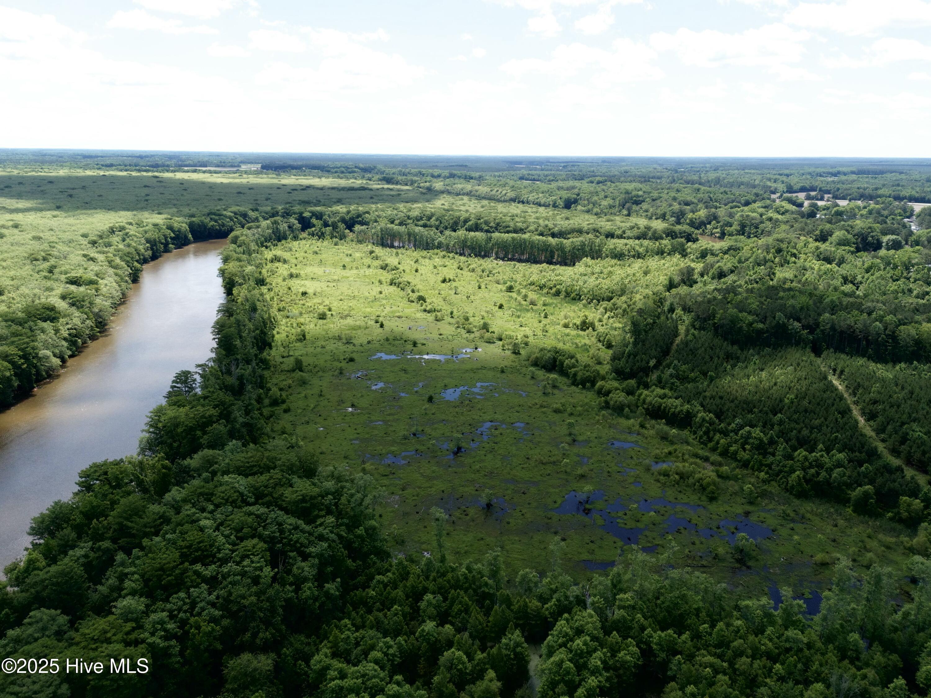 This is a rare opportunity to own 101 acres of prime Eastern North Carolina waterfront property with over 4,600 feet of frontage on the scenic Roanoke River. This remarkable property offers incredible recreational value, with multiple building lots—including parcels right along the river—perfect for creating your private retreat or hunting lodge. Nature lovers and sportsmen alike will appreciate the extensive trail system and hunting lanes throughout, as well as the excellent duck hunting made possible by multiple swamp access points. The property borders a well-established duck hunting club known for its rich habitat work, helping to keep large numbers of waterfowl in the area throughout the winter. Beyond waterfowl, the property is also a haven for Eastern NC whitetail bucks, huge black bears, wild turkeys, and wild hogs. The Roanoke River itself is renowned for outstanding fishing, and there is ample space for food plots to further enhance your wildlife opportunities. With two gated access points, getting in and out is easy, and the land is just minutes outside of Jamesville. Conveniently located only 30 minutes from Greenville, 1.75 hours from Raleigh, and 1.5 hours from Nags Head, it offers seclusion without sacrificing accessibility. Whether you're dreaming of a hunting paradise, a private riverfront estate, or a recreational getaway, this property checks every box. Opportunities like this don't come around often—call today to schedule your tour and see everything this incredible Roanoke River tract has to offer!