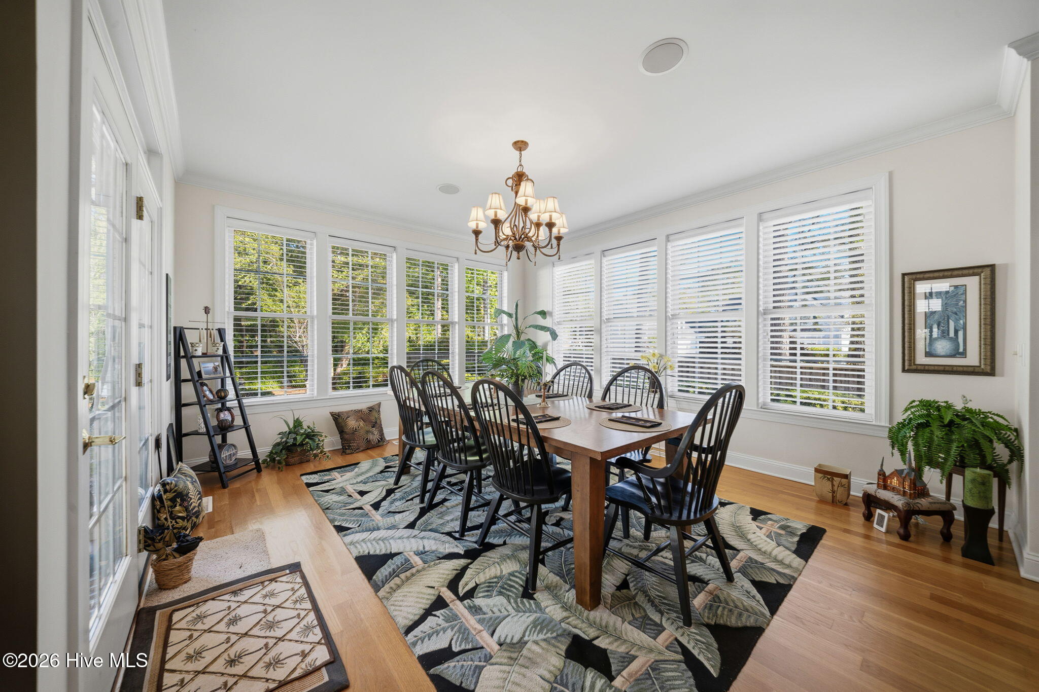 100570394 | Photo 33