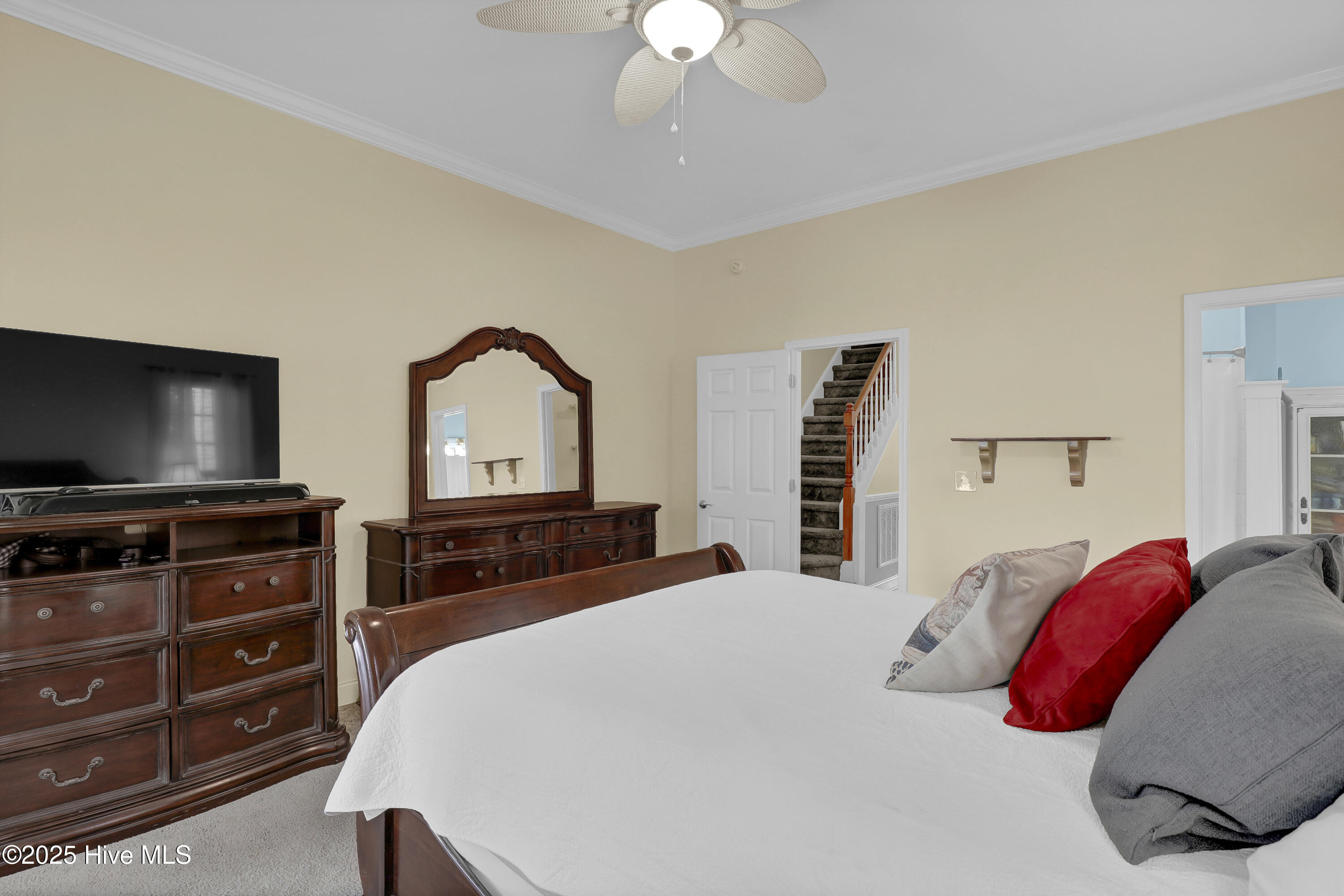 100532986 | Photo 23