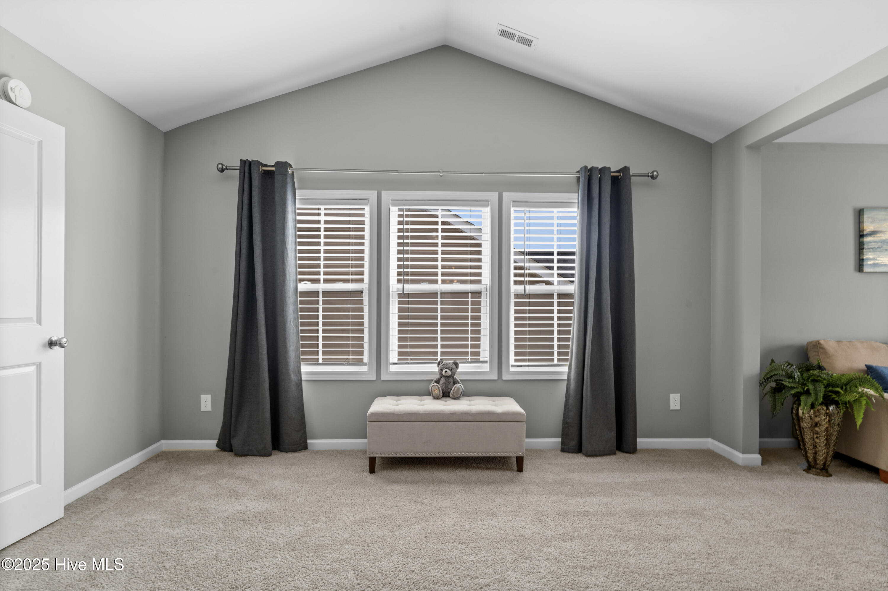 100511448 | Photo 22