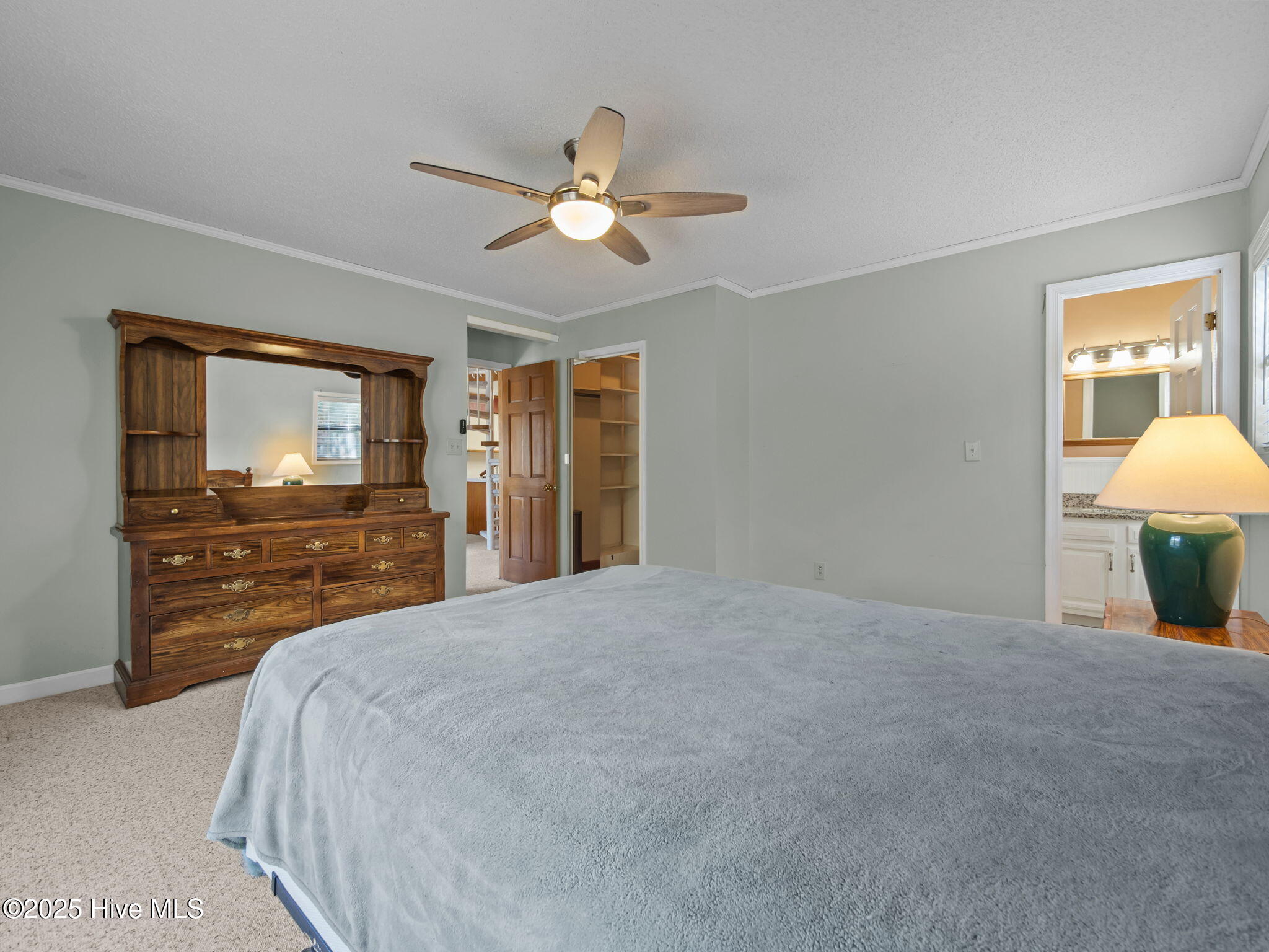 100533073 | Photo 23