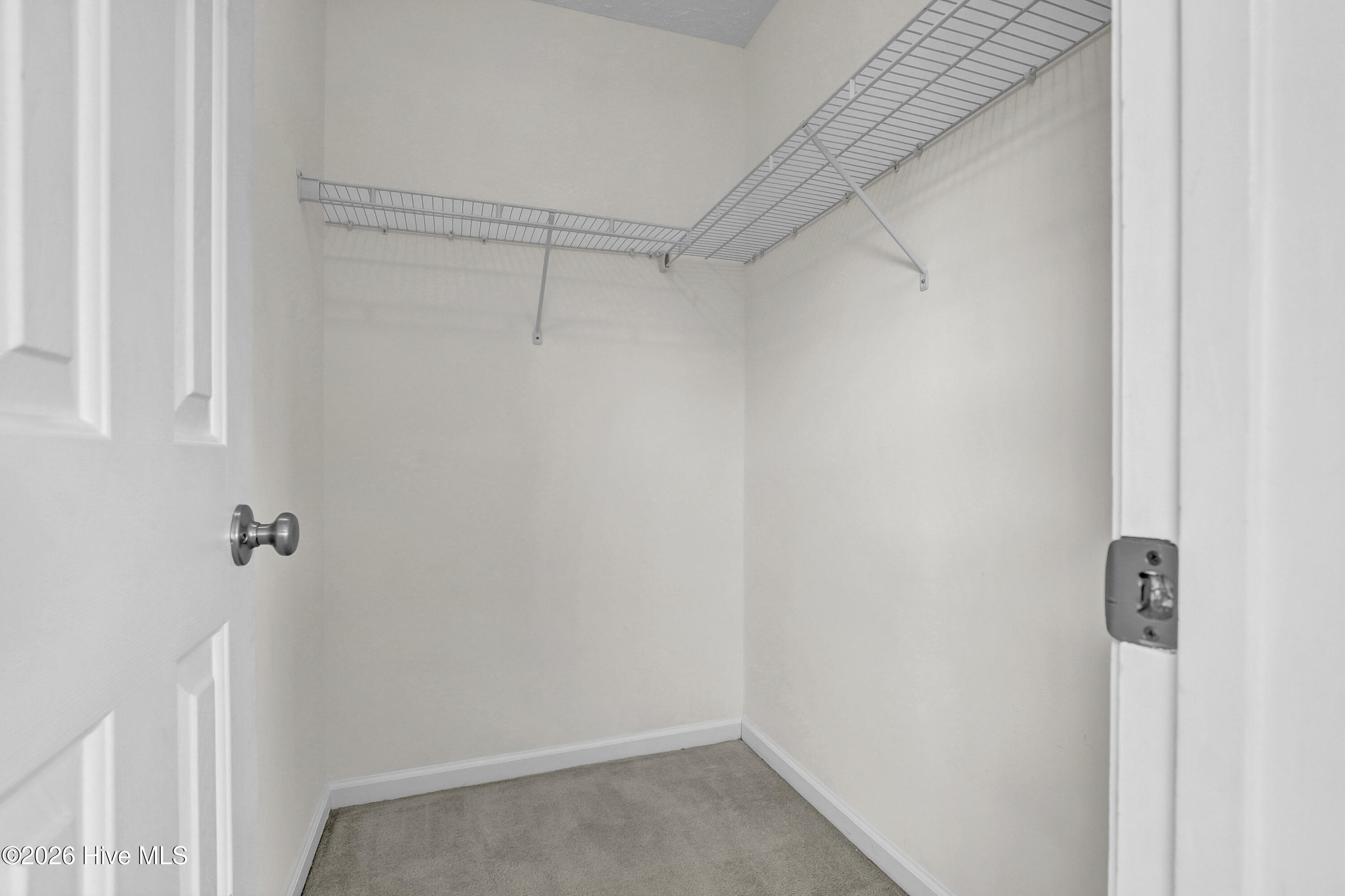 100550562 | Photo 21