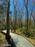 100558864 | Photo 47