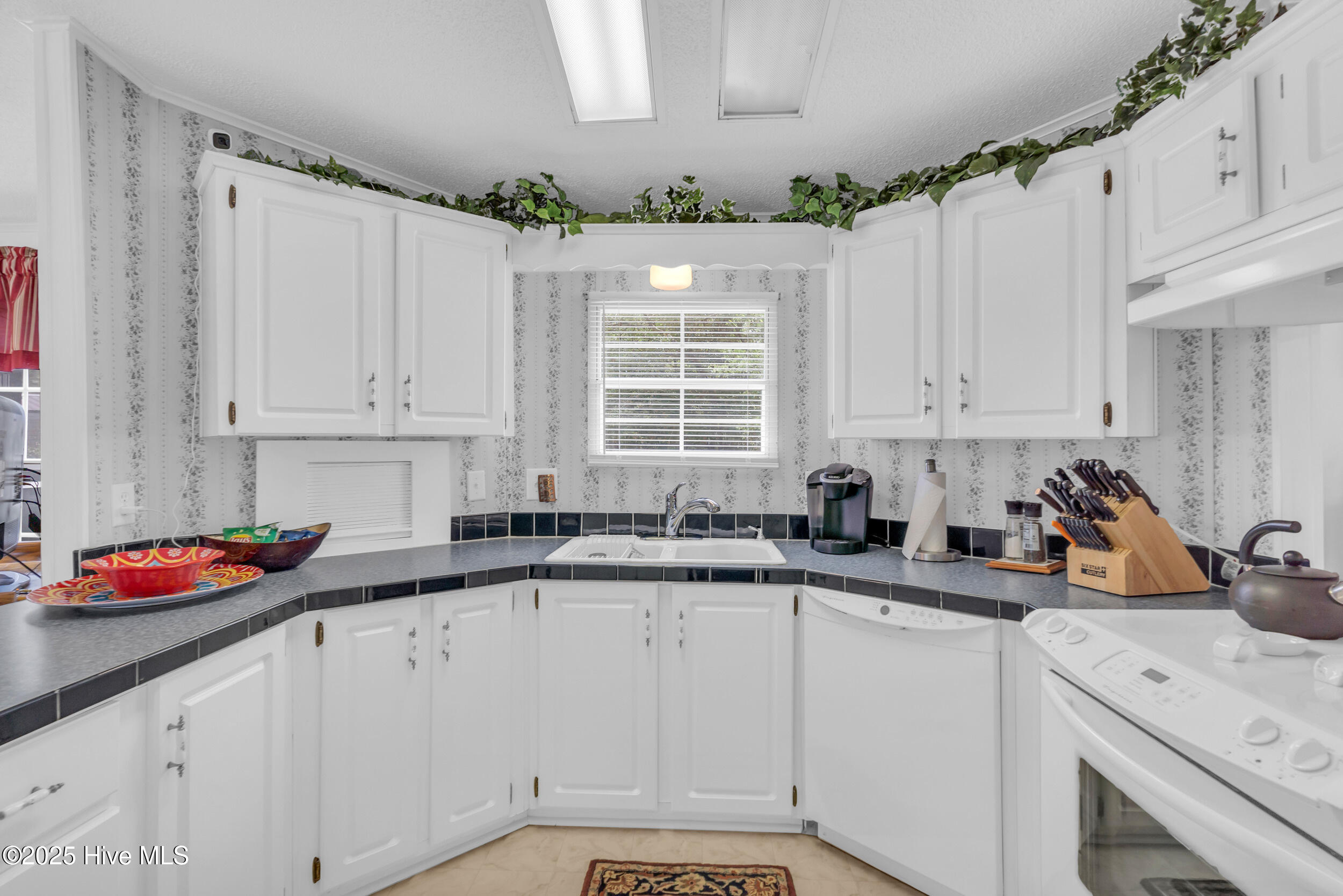 100559828 | Photo 11