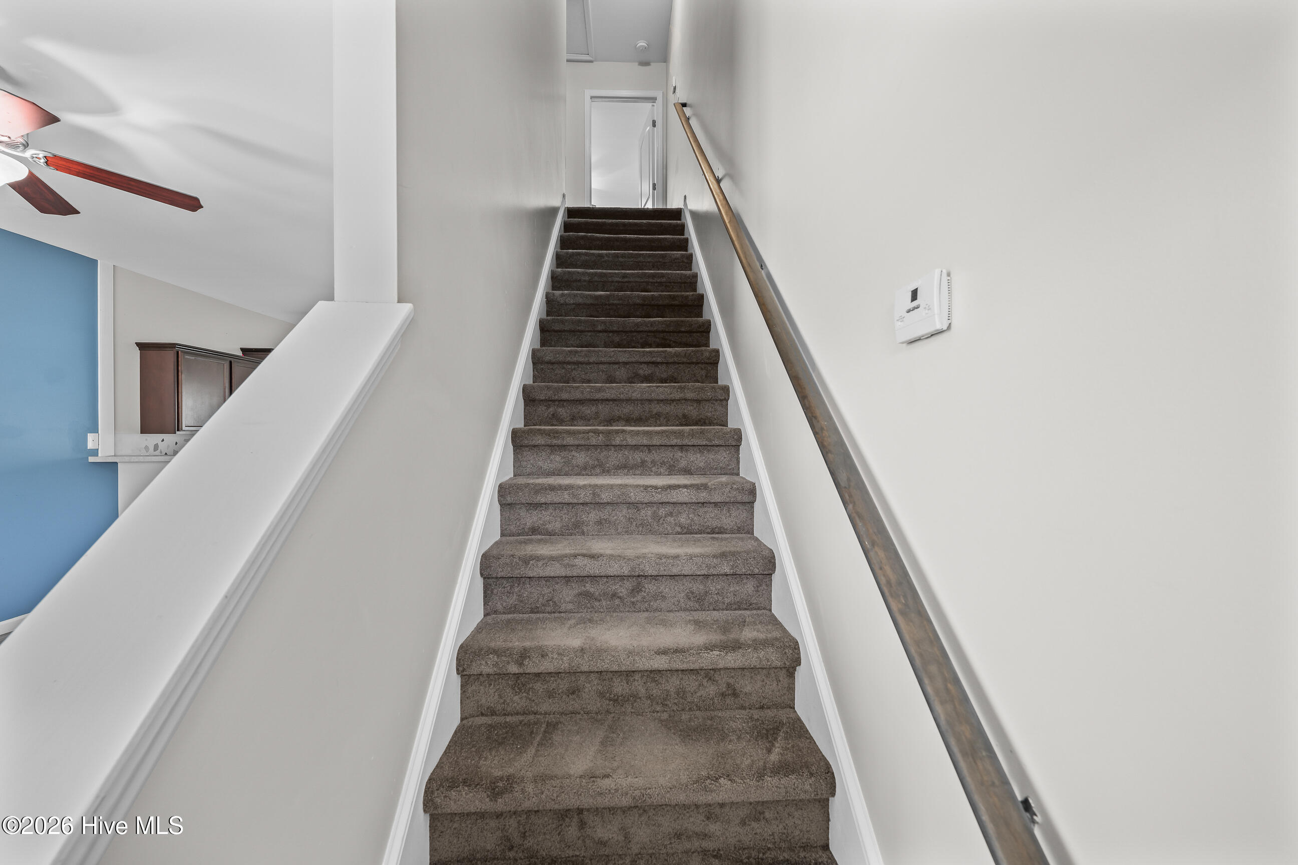 100568364 | Photo 11