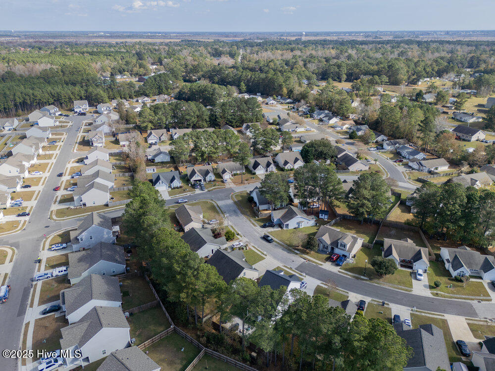 100543937 | Photo 39