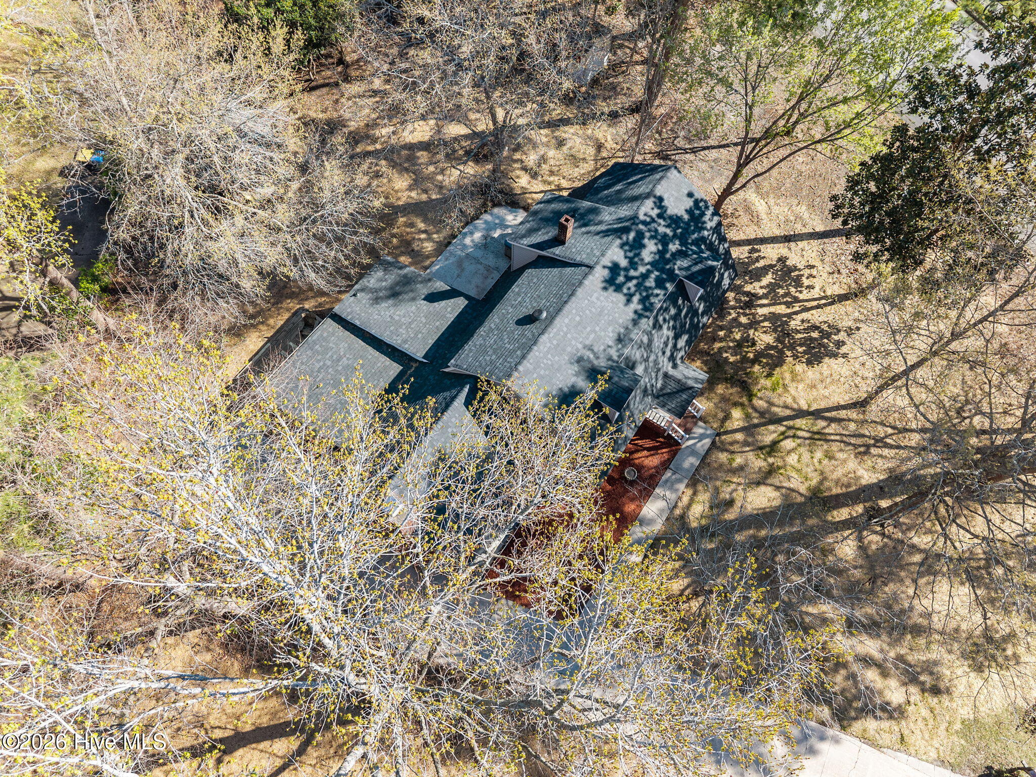 100561705 | Photo 52