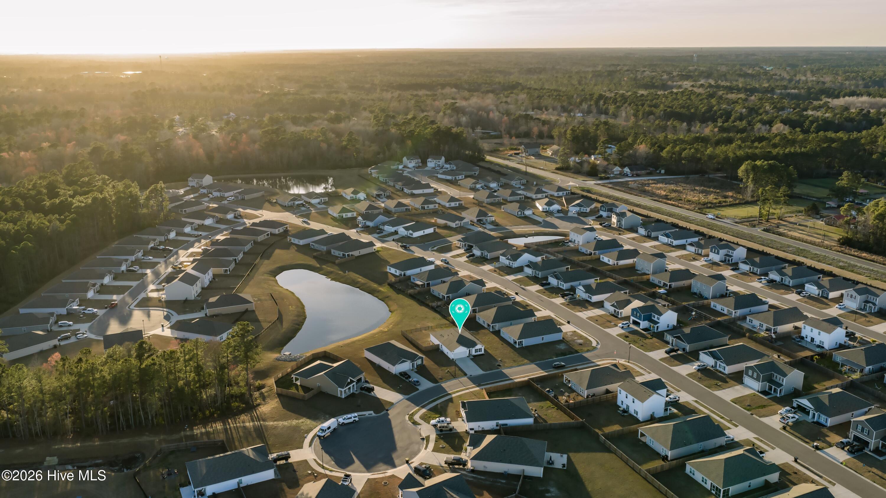 100558236 | Photo 45