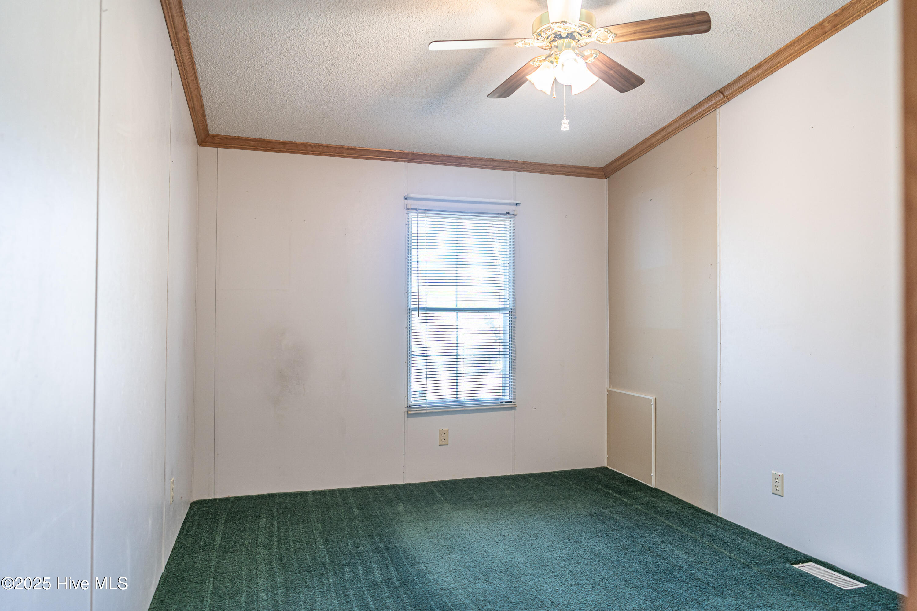 113 Holly Place
