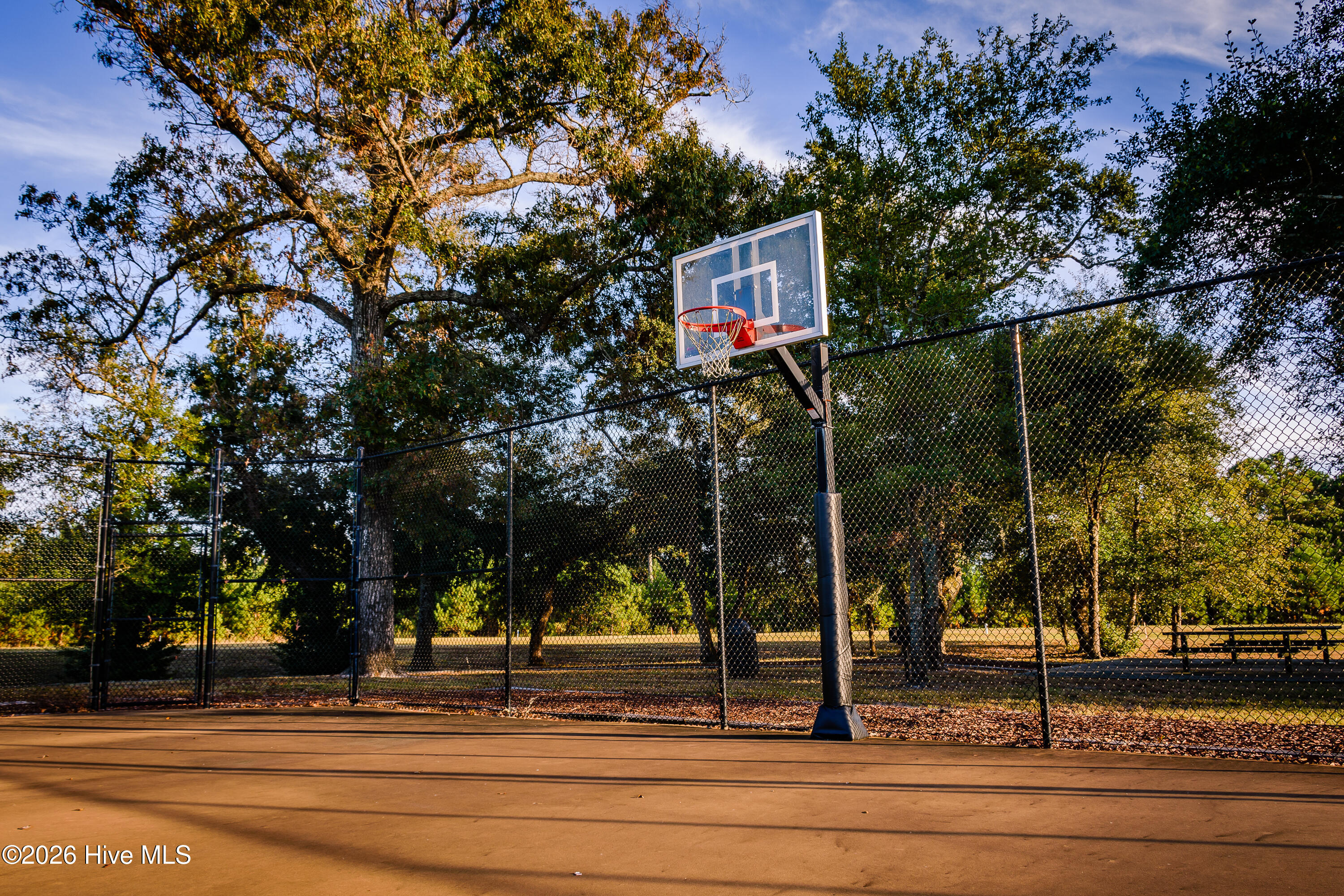 100556932 | Photo 56