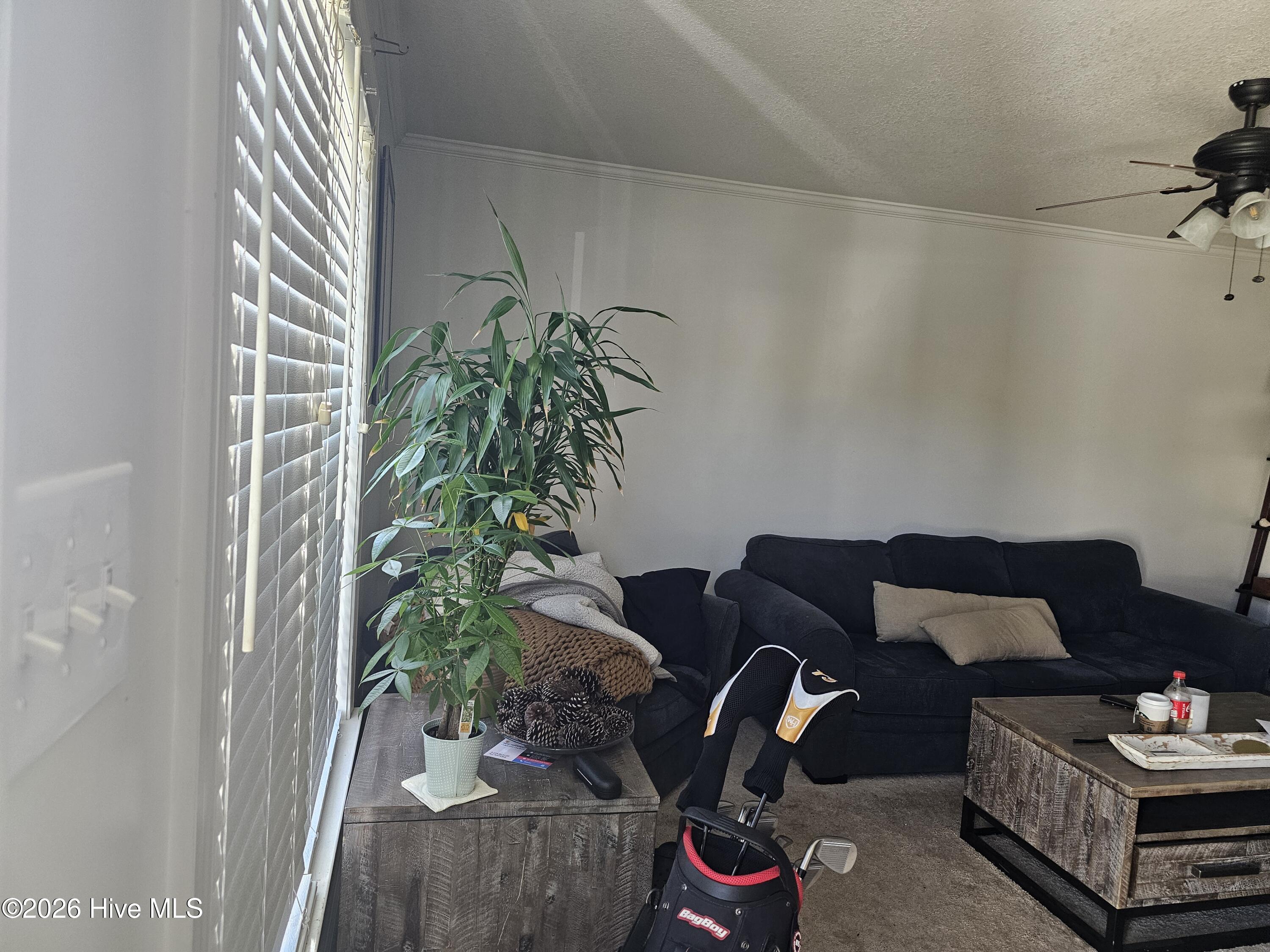 205 Bridgewood Drive,Jacksonville