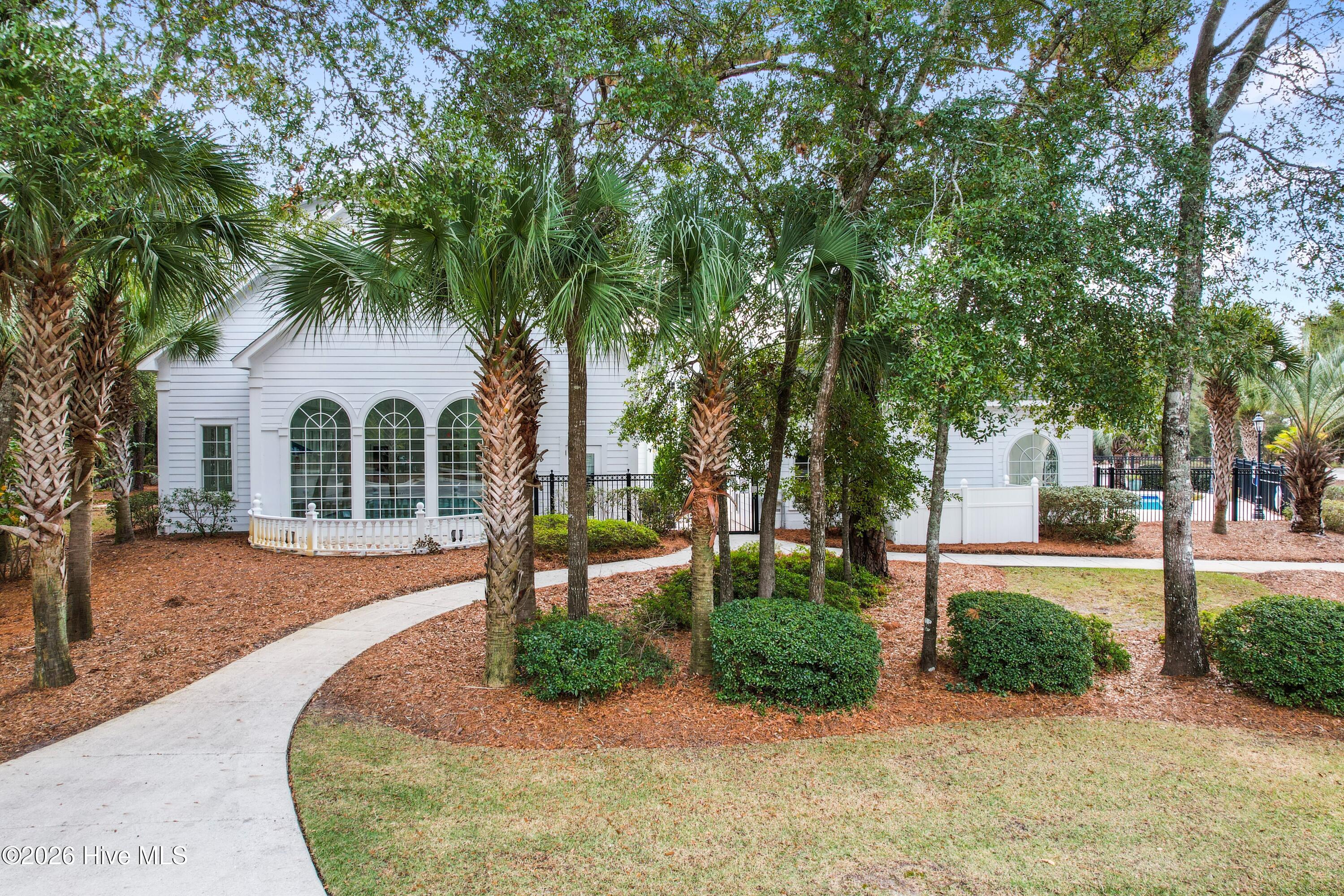 100553756 | Photo 18