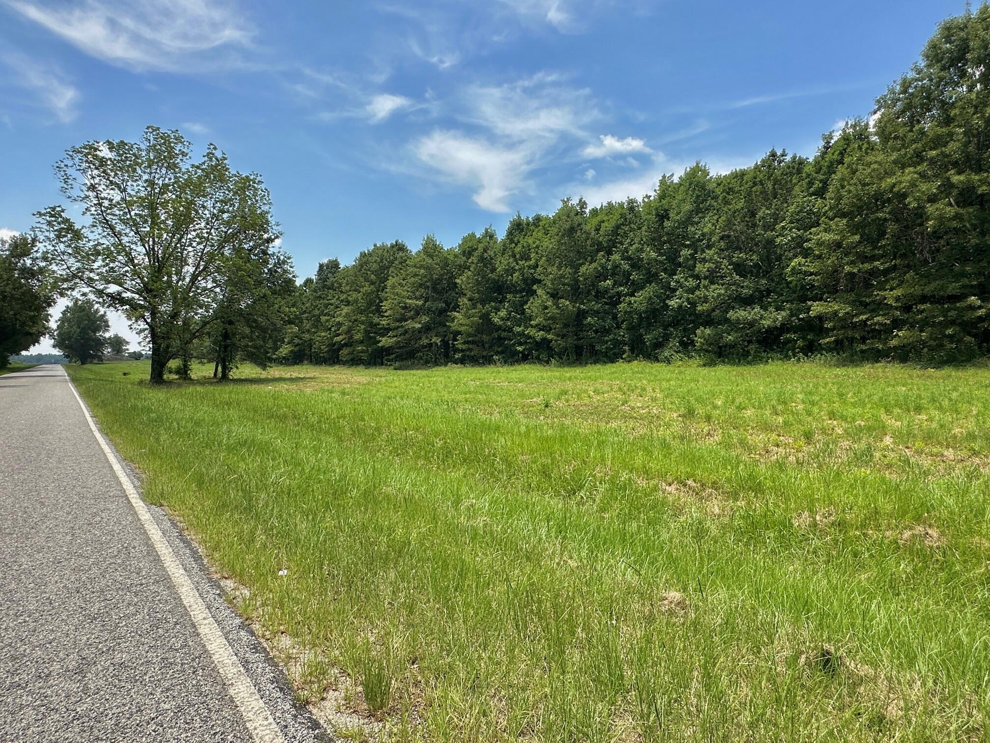 0 Chappel Road, Waynesboro, GA, 30830