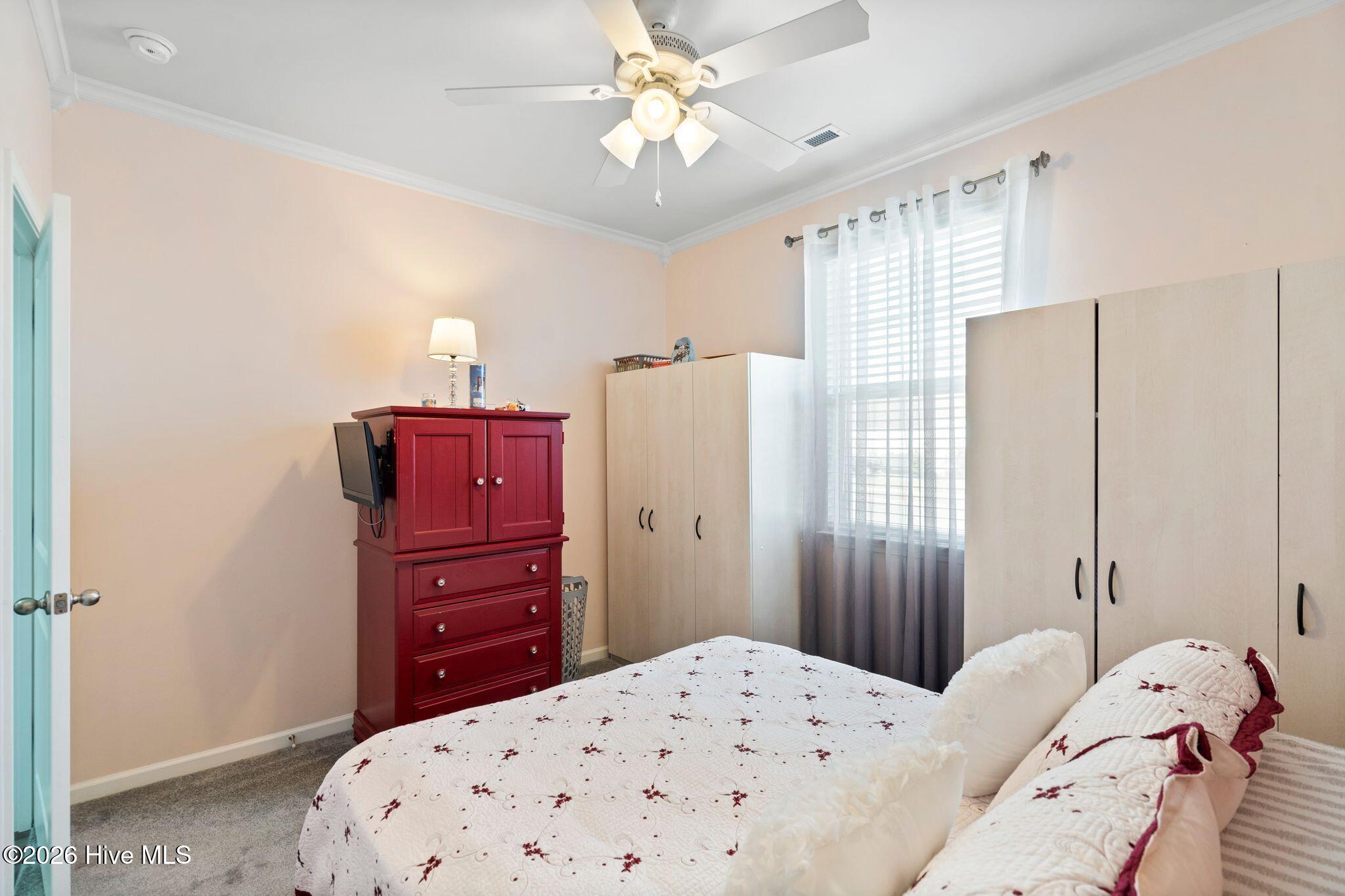 100550283 | Photo 40