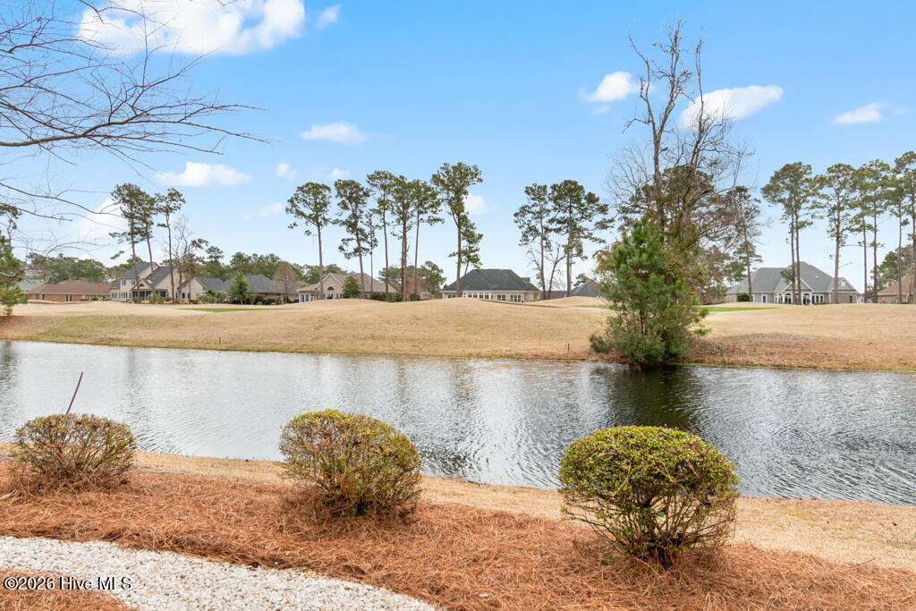 100558482 | Photo 16