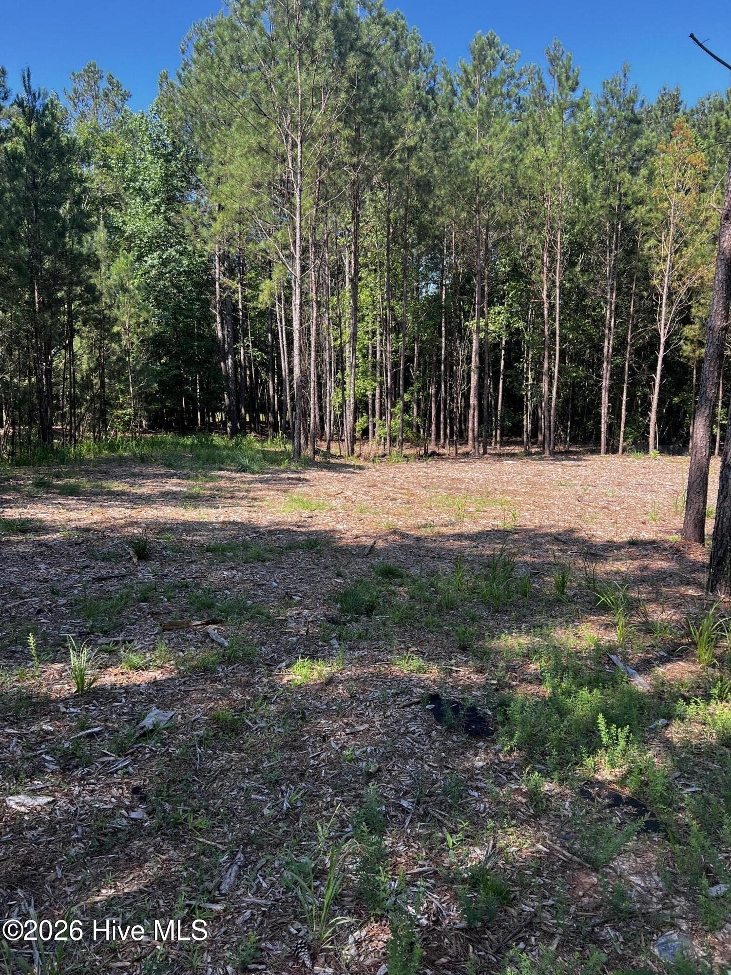 44th image of 1198 Sunset Cvs, Tignall, GA 30668 | MLS# 98253558