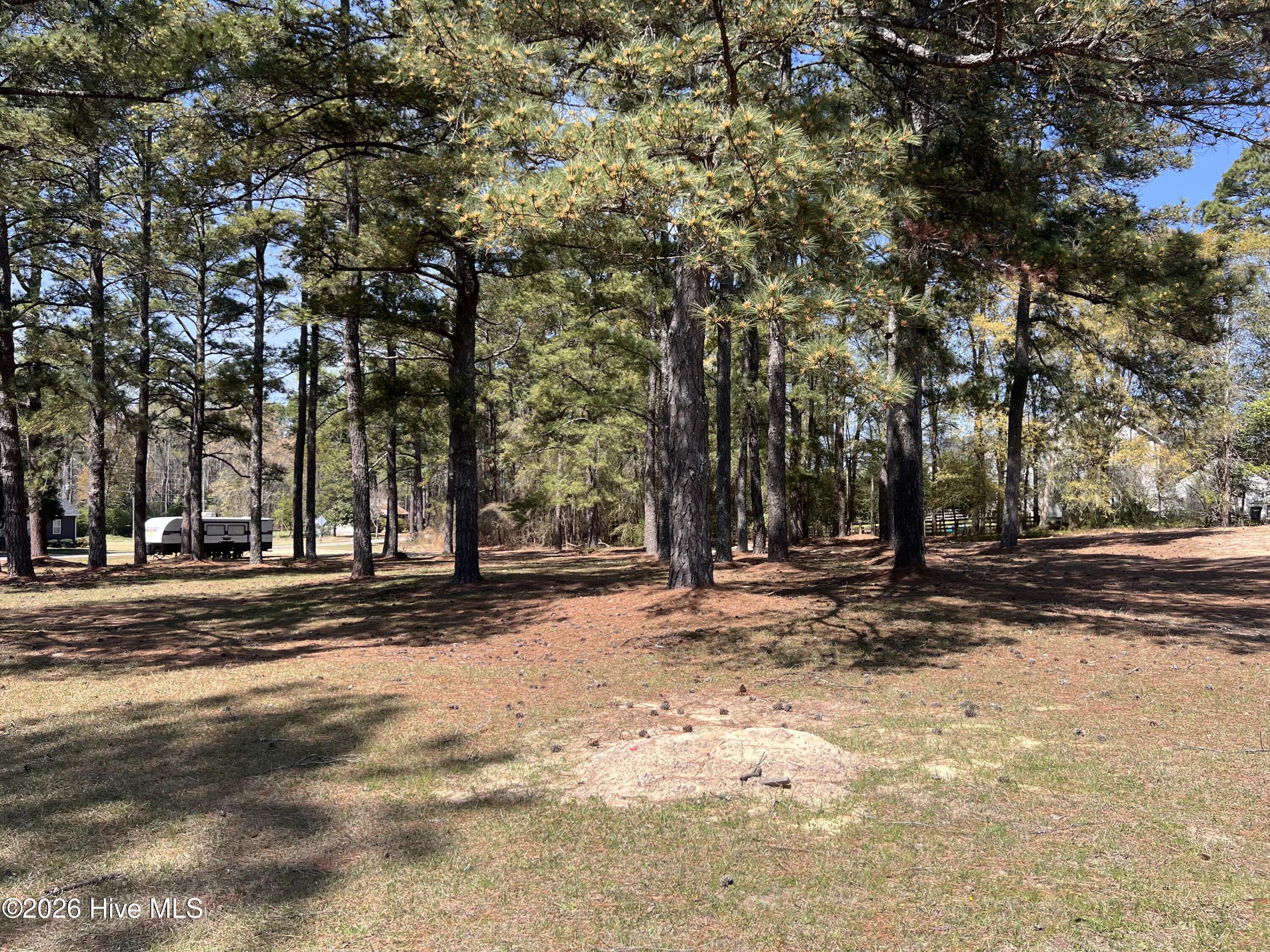 Tbd Murdocksville Road, West End, NC, 27376