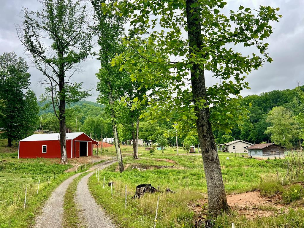 3325 Pack Mountain Road, Murphy, NC 28906 Listing Photo  75